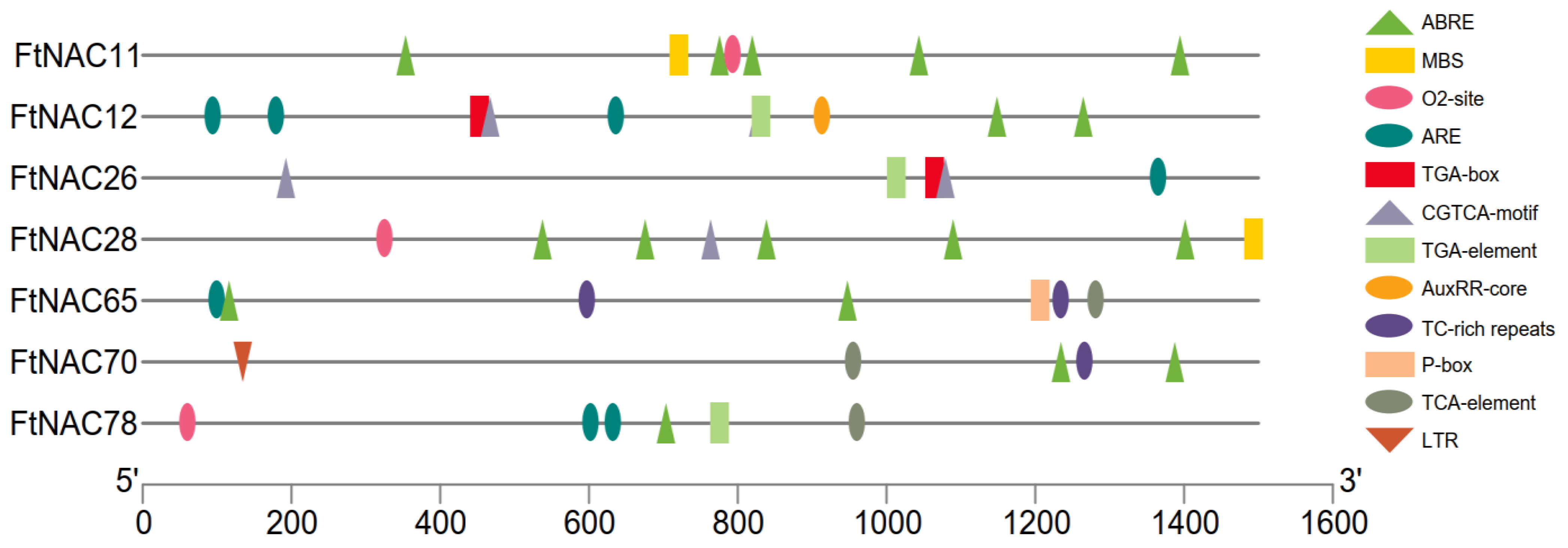 Agronomy 12 00849 g003