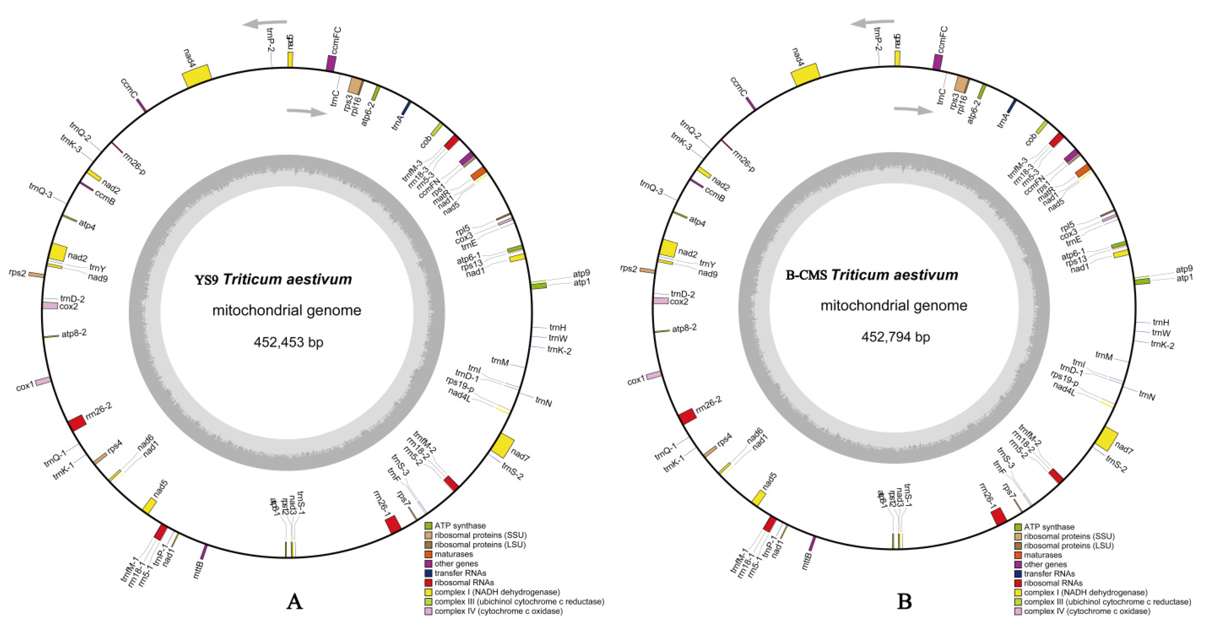 Agronomy 12 00851 g003