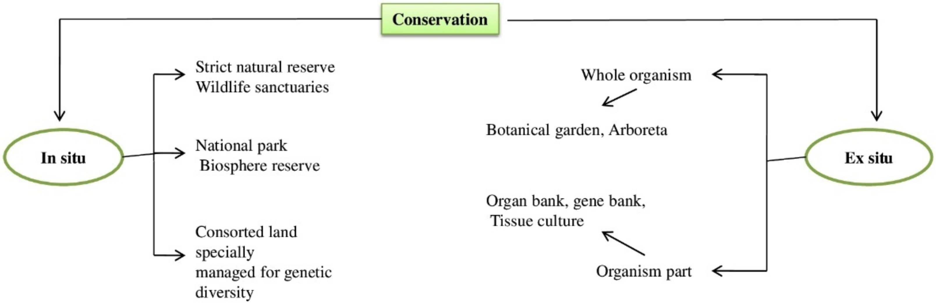 Agronomy 12 00855 g001 550