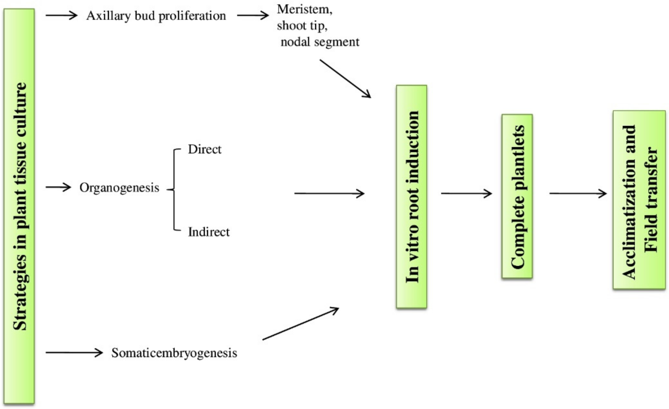 Agronomy 12 00855 g002 550