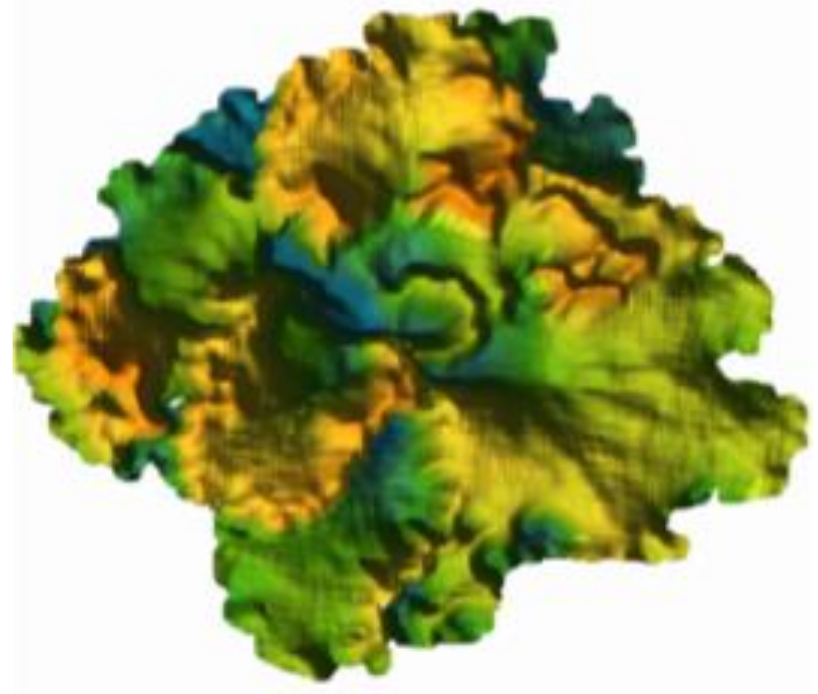 Agronomy 12 00860 g005