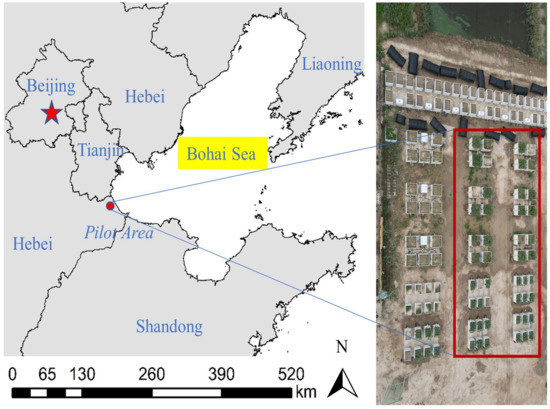 ＭＹ Precision Racing Parabolic Mount Kit 42mm Pivot Dog Yamaha