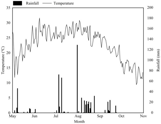 Agronomy | Free Full-Text | A Root Density Tradeoff in an Okra 