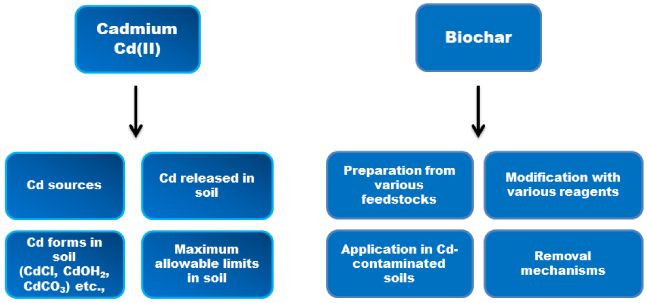 Agronomy 12 00877 g001 550