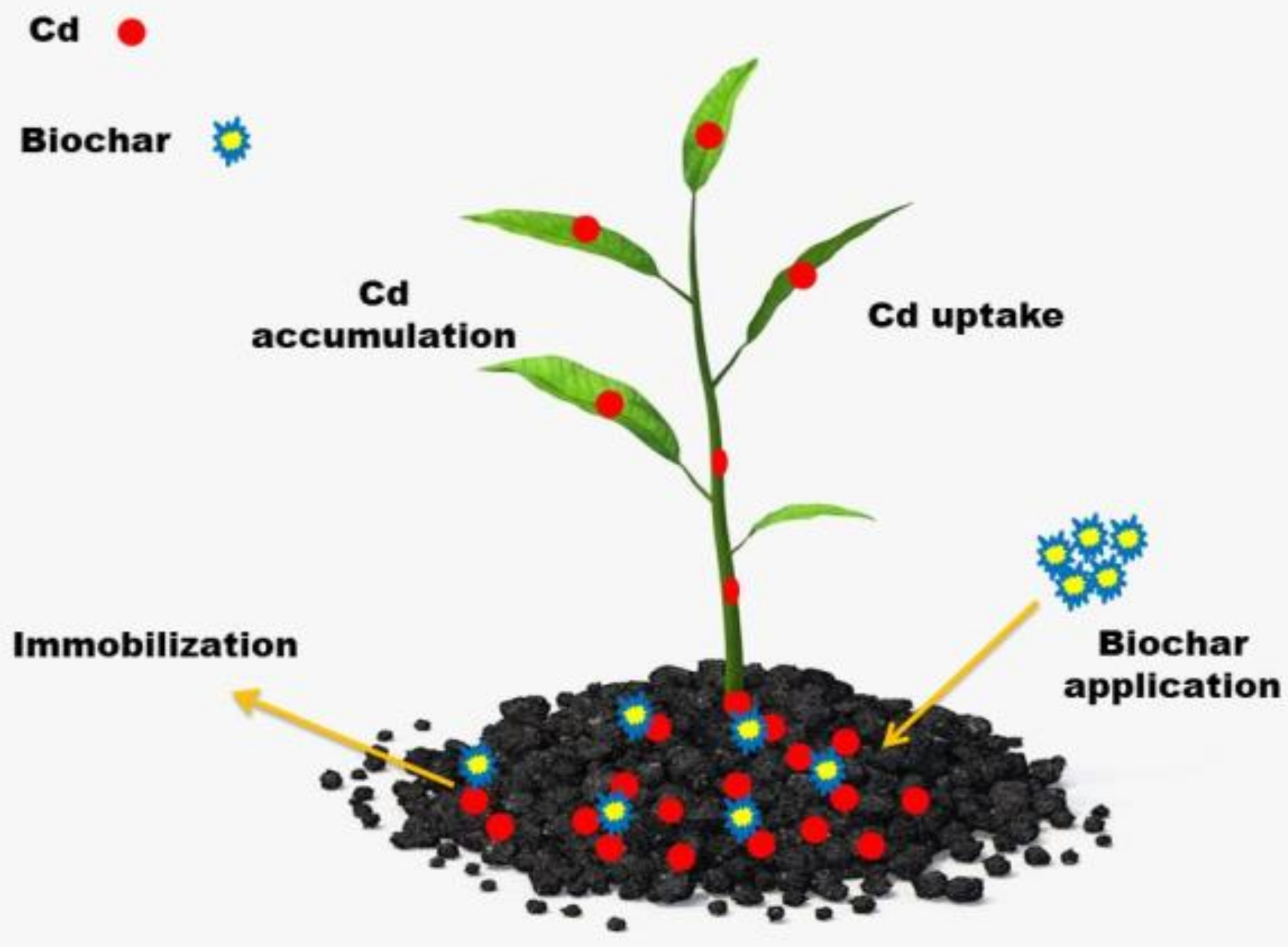 Agronomy 12 00877 g002 550