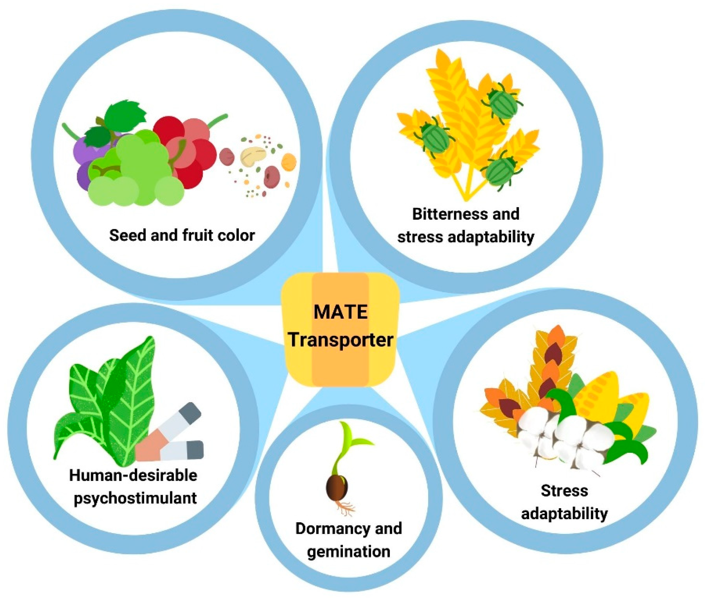 Agronomy 12 00878 g001 Agronomy 12 00878 g001
