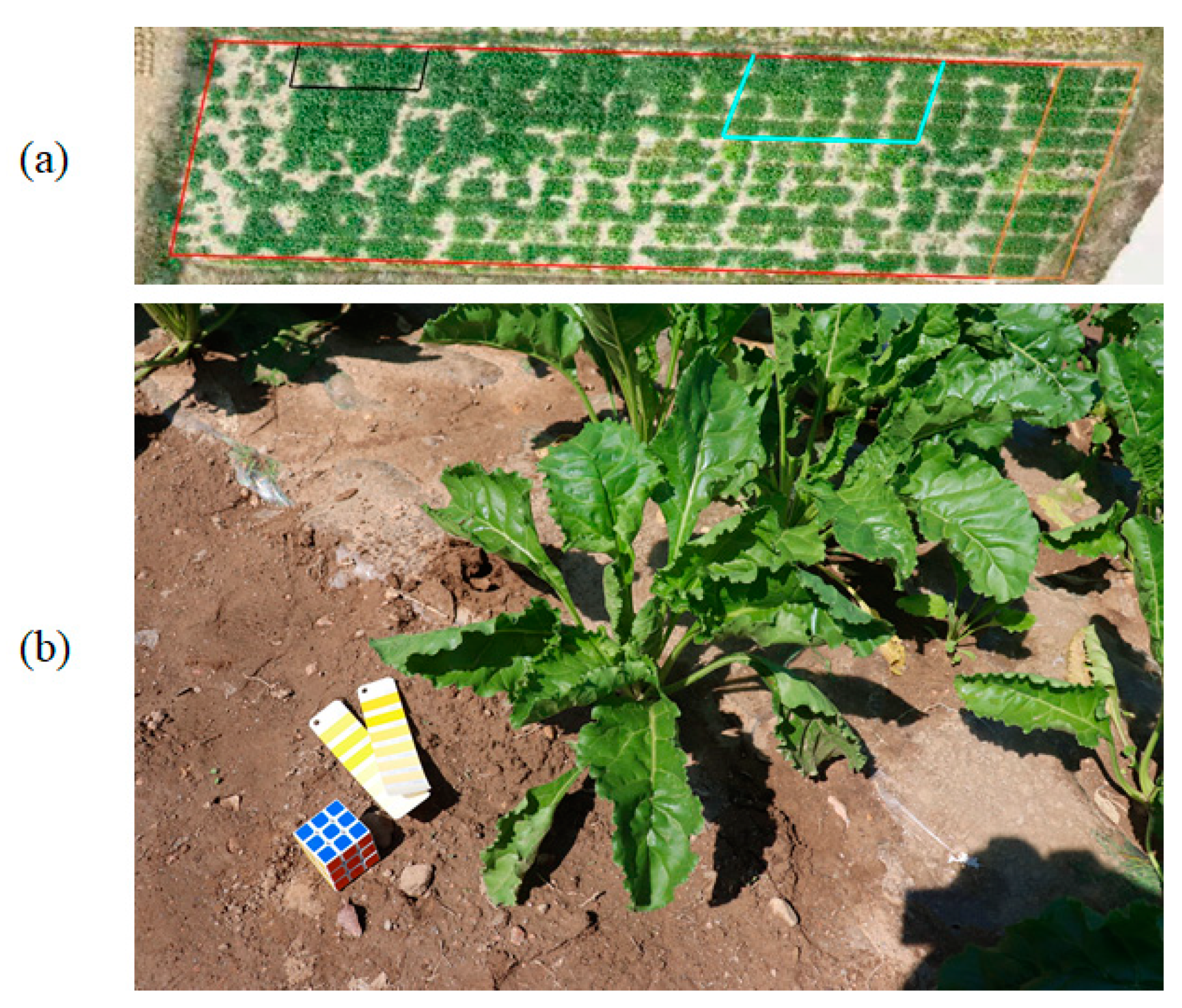 Agronomy 12 00893 g001 550