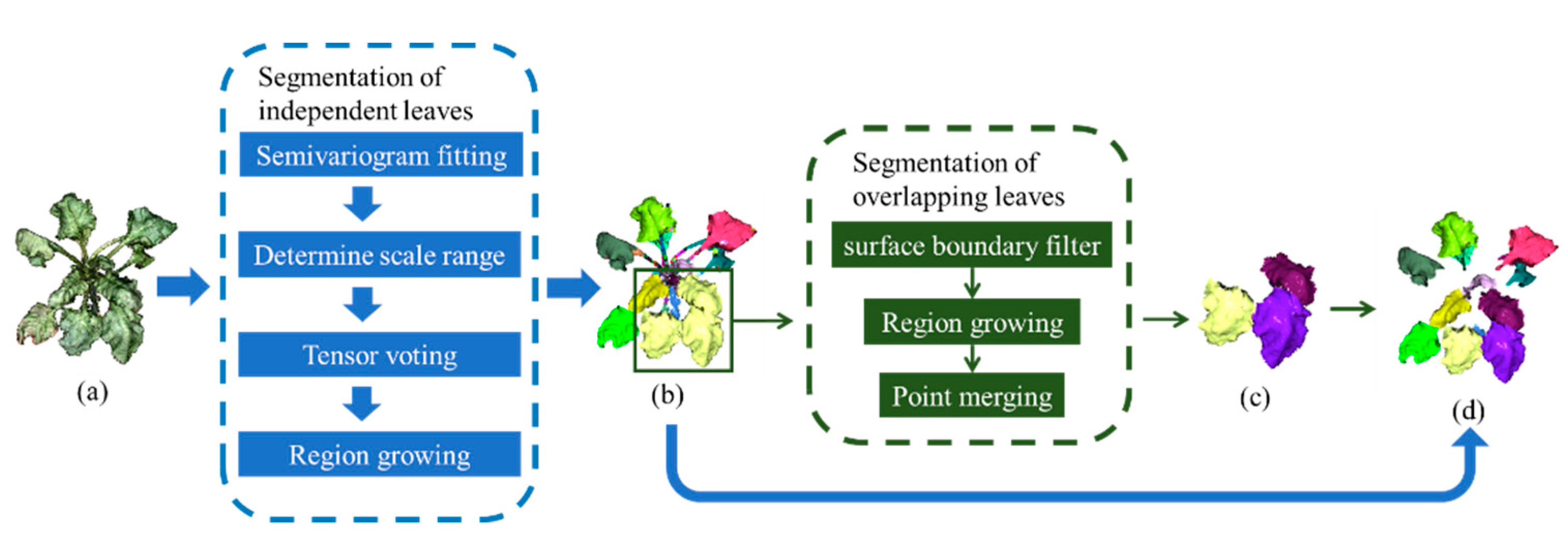 Agronomy 12 00893 g002 550