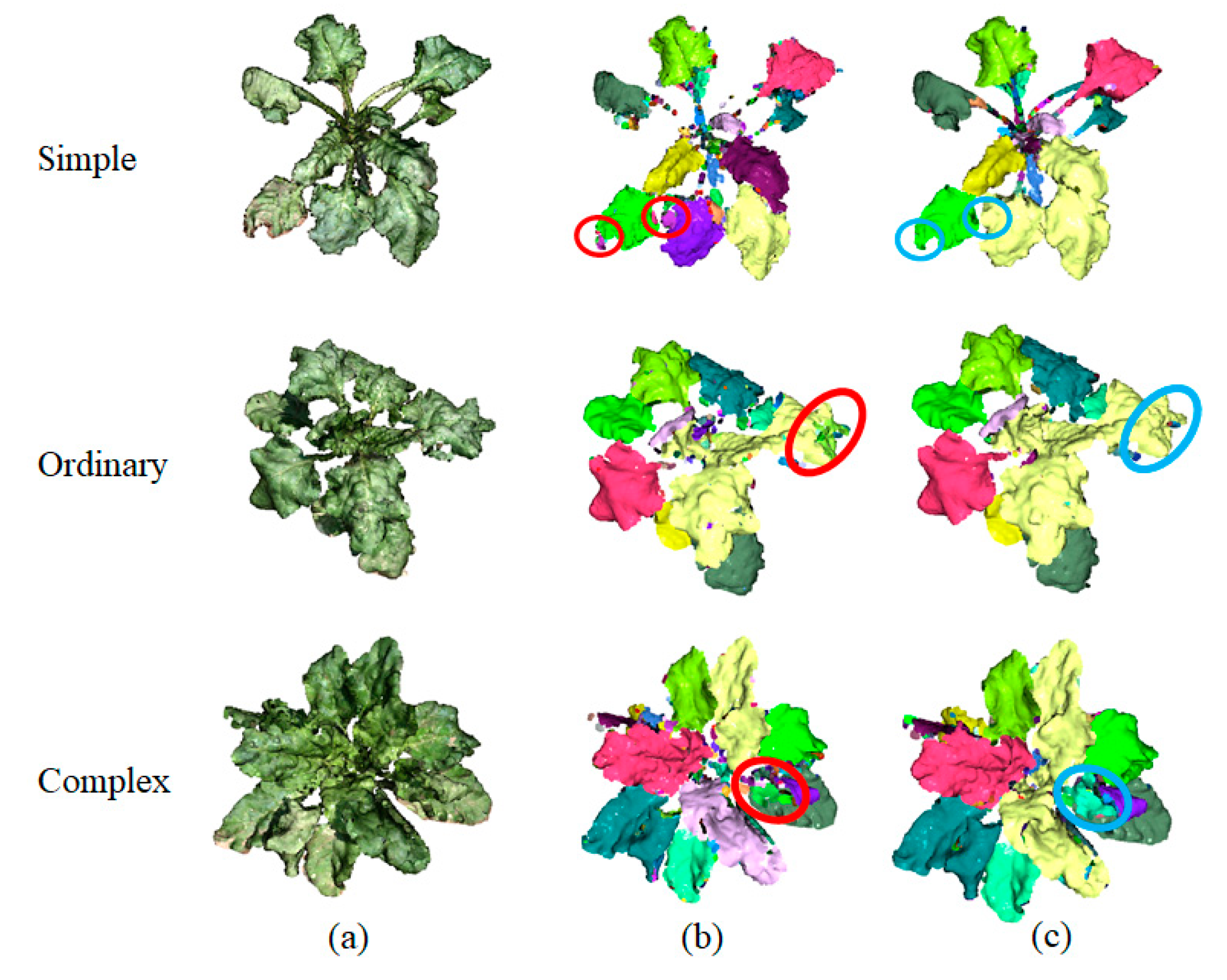 Agronomy 12 00893 g005 550