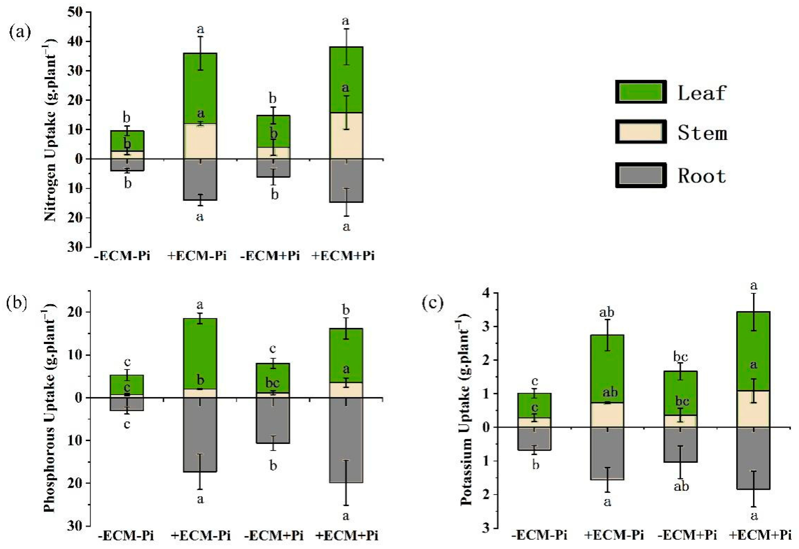 Agronomy 12 00901 g003
