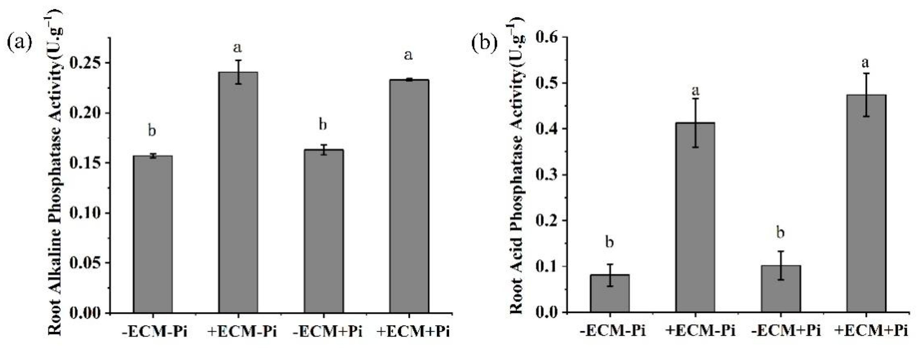 Agronomy 12 00901 g004