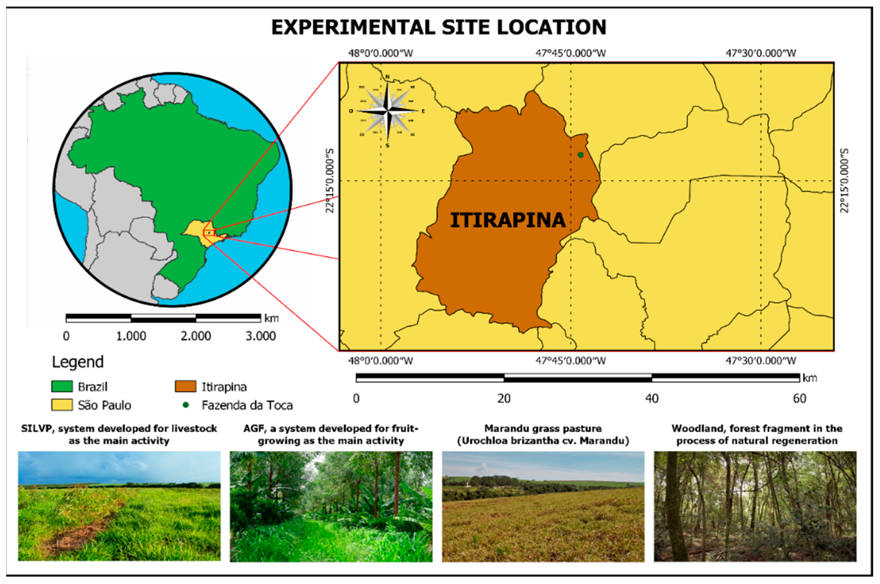 45 Km From My Location Agronomy | Free Full-Text | Potential Use Of Quartzipisamment Under  Agroforestry And Silvopastoral System For Large-Scale Production In Brazil  | Html