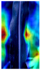 Agronomy 12 00906 i003