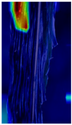 Agronomy 12 00906 i012