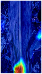 Agronomy 12 00906 i017