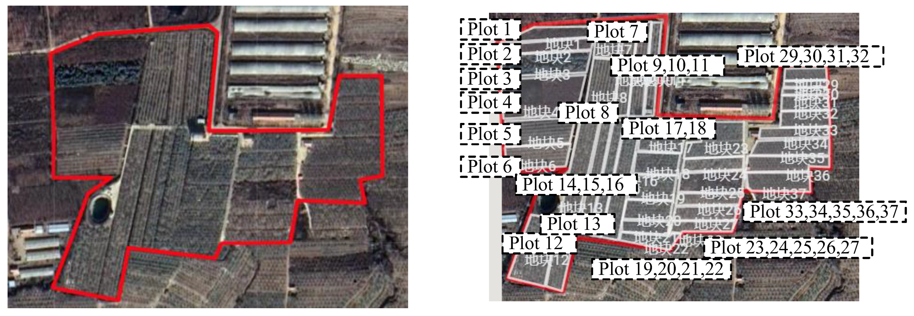 Agronomy 12 00921 g008 550