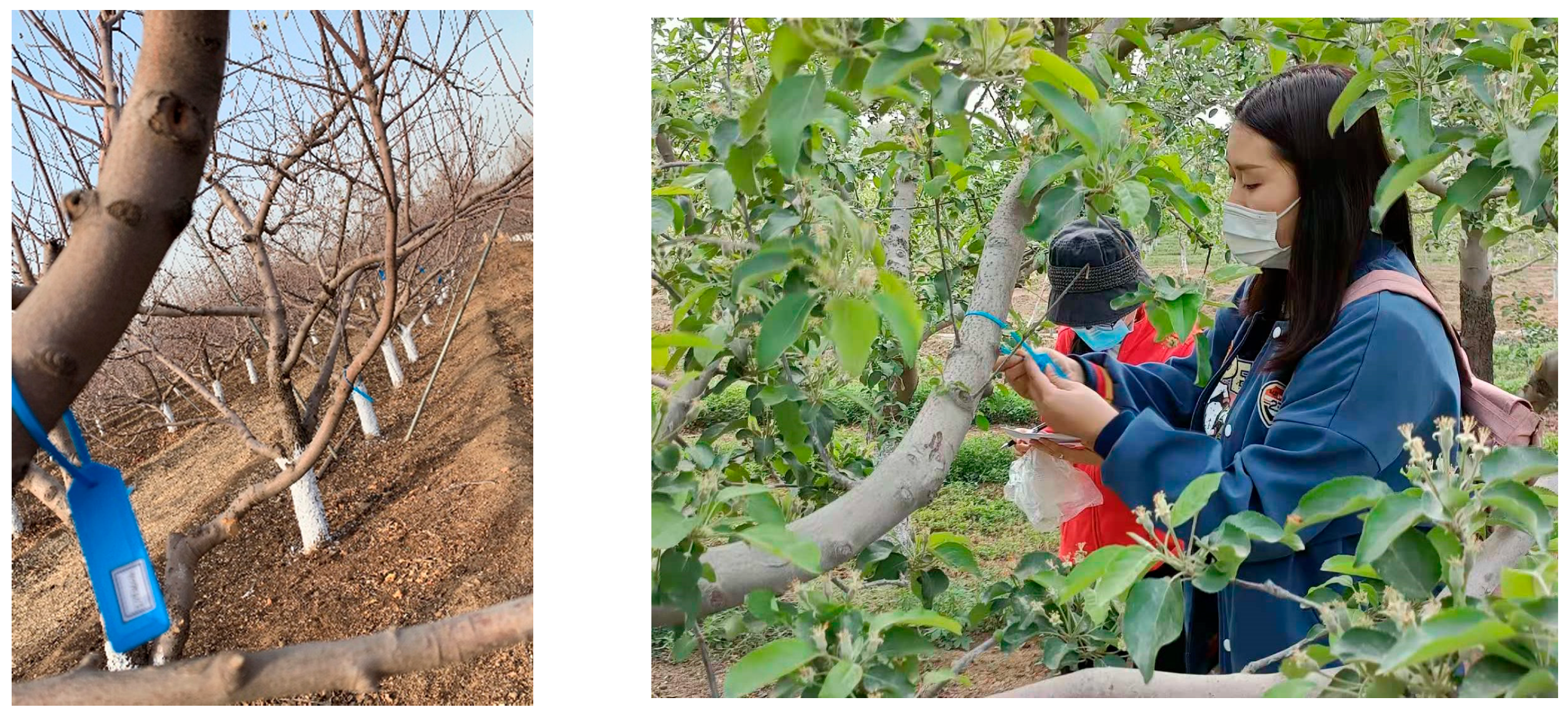 Agronomy 12 00921 g009 550