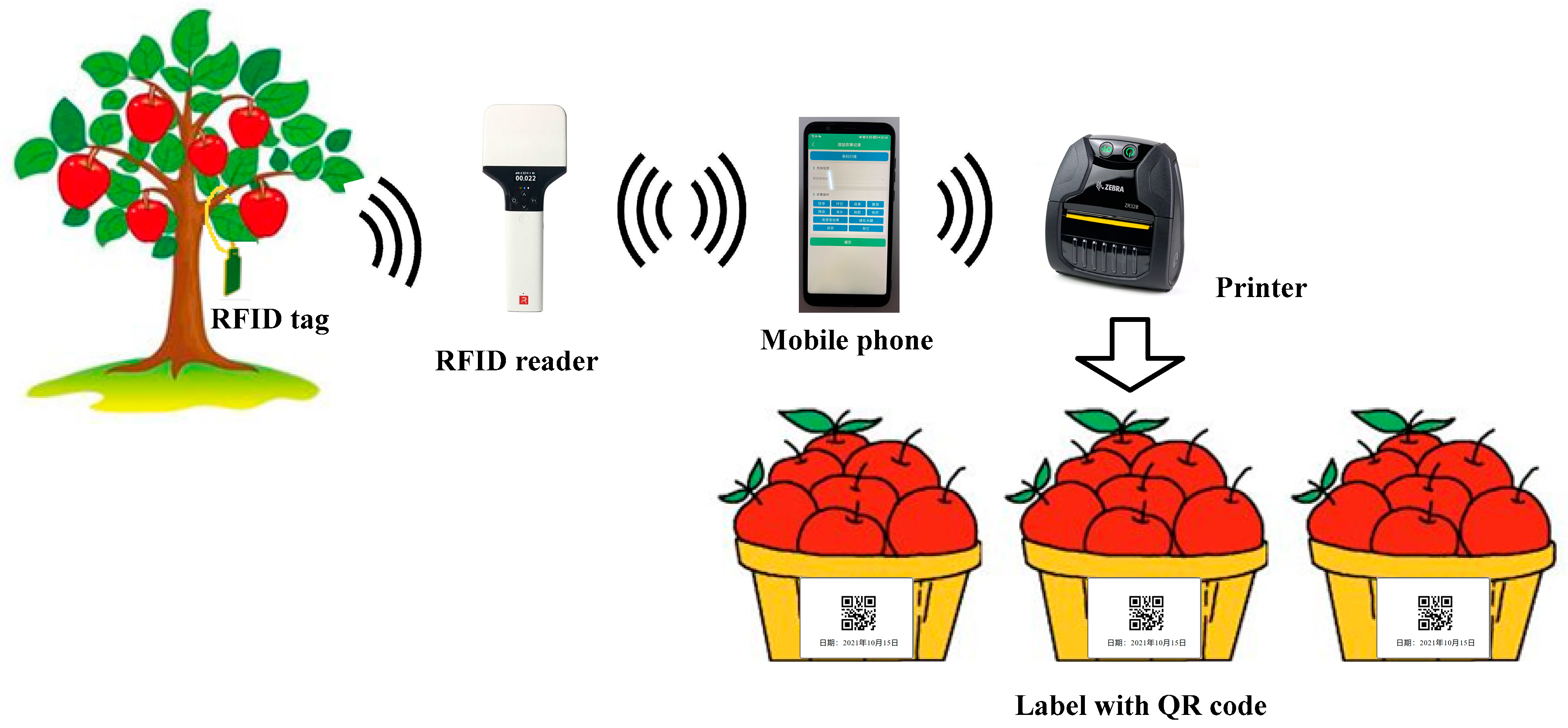 Agronomy 12 00921 g011 550