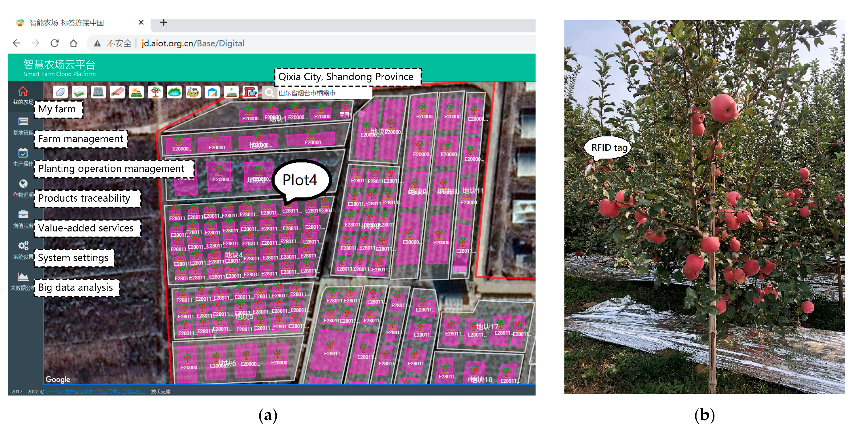 Agronomy 12 00921 g012 550