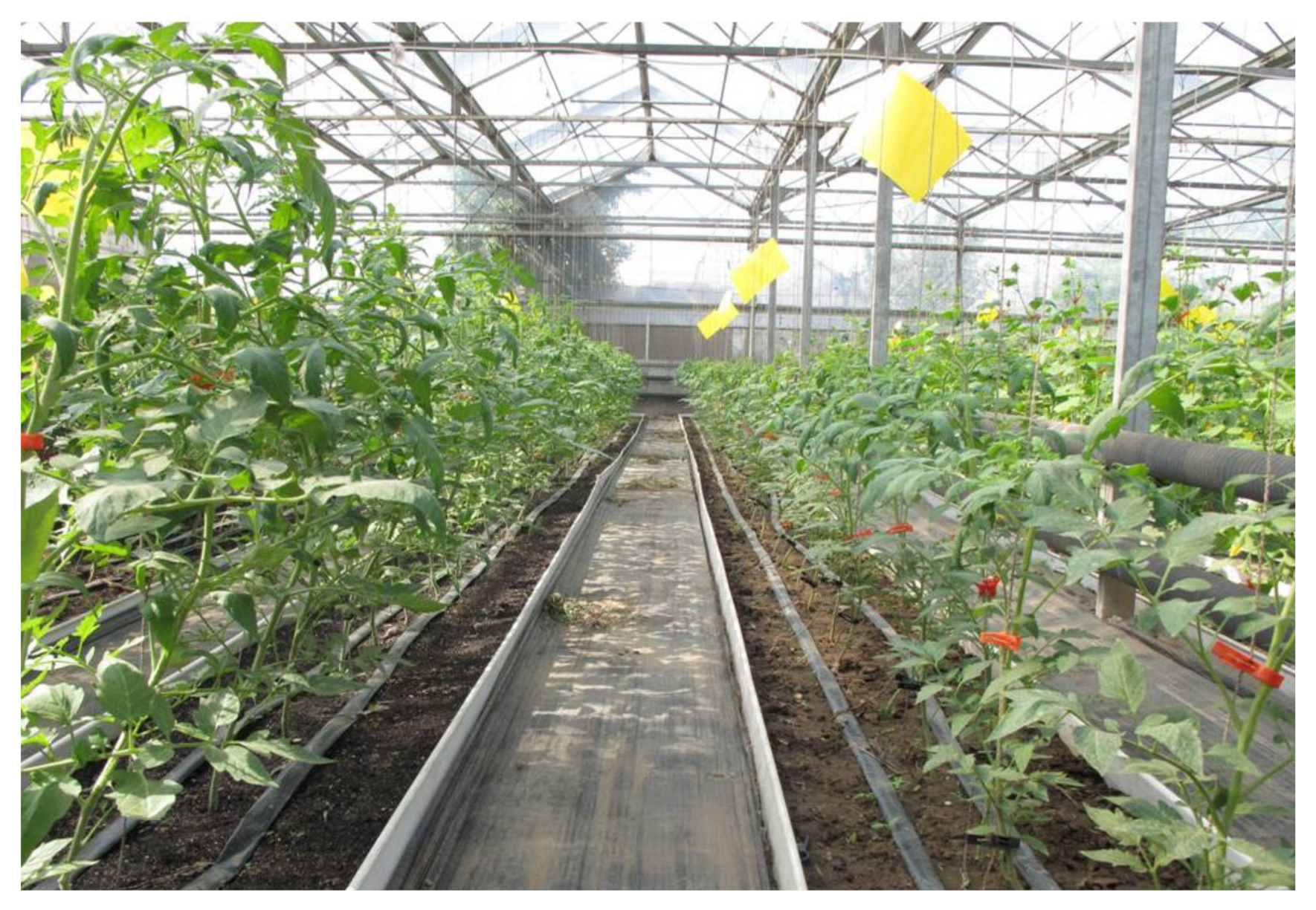 Agronomy 12 00923 g001 Agronomy 12 00923 g001