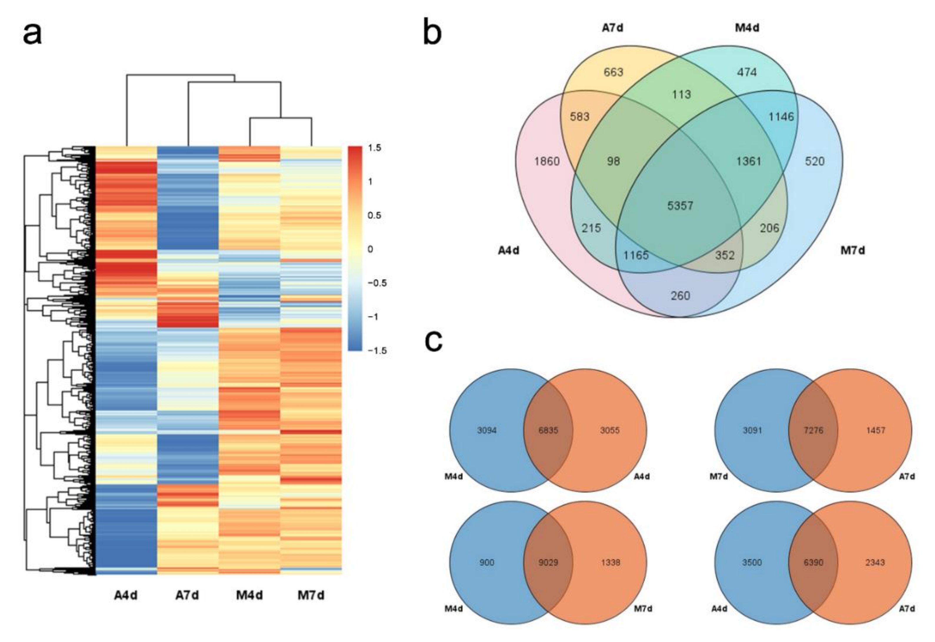 Agronomy 12 00925 g002