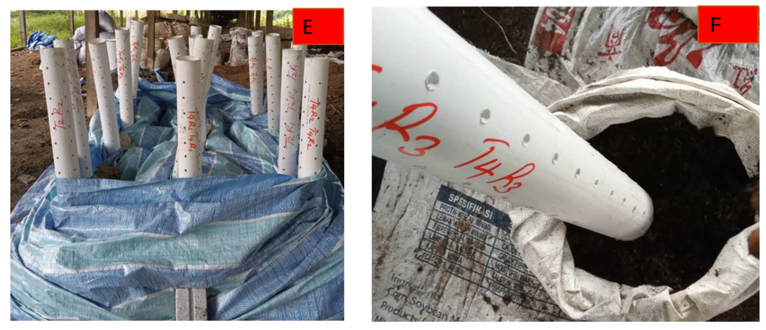 Agronomy 12 00937 g001b