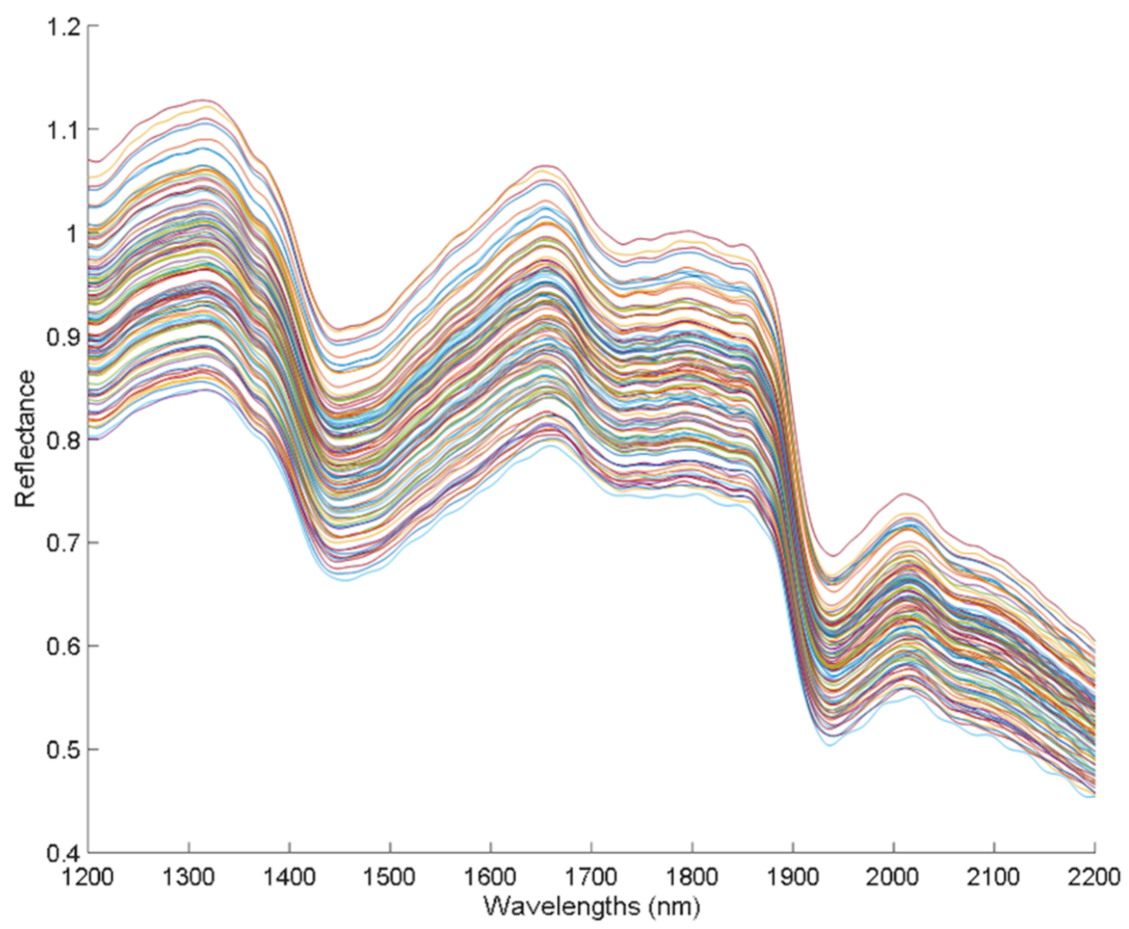Agronomy 12 00938 g001