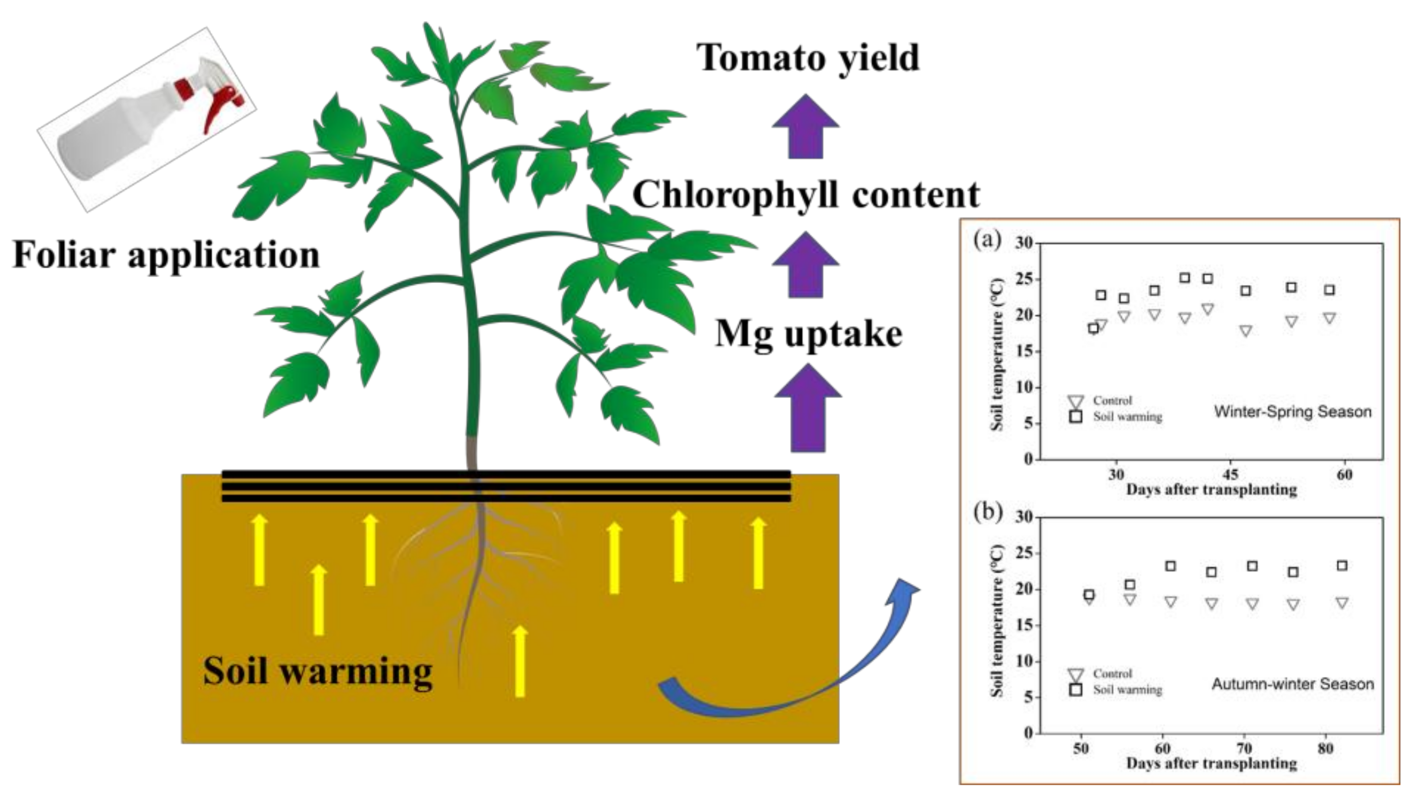 Agronomy 12 00940 g003