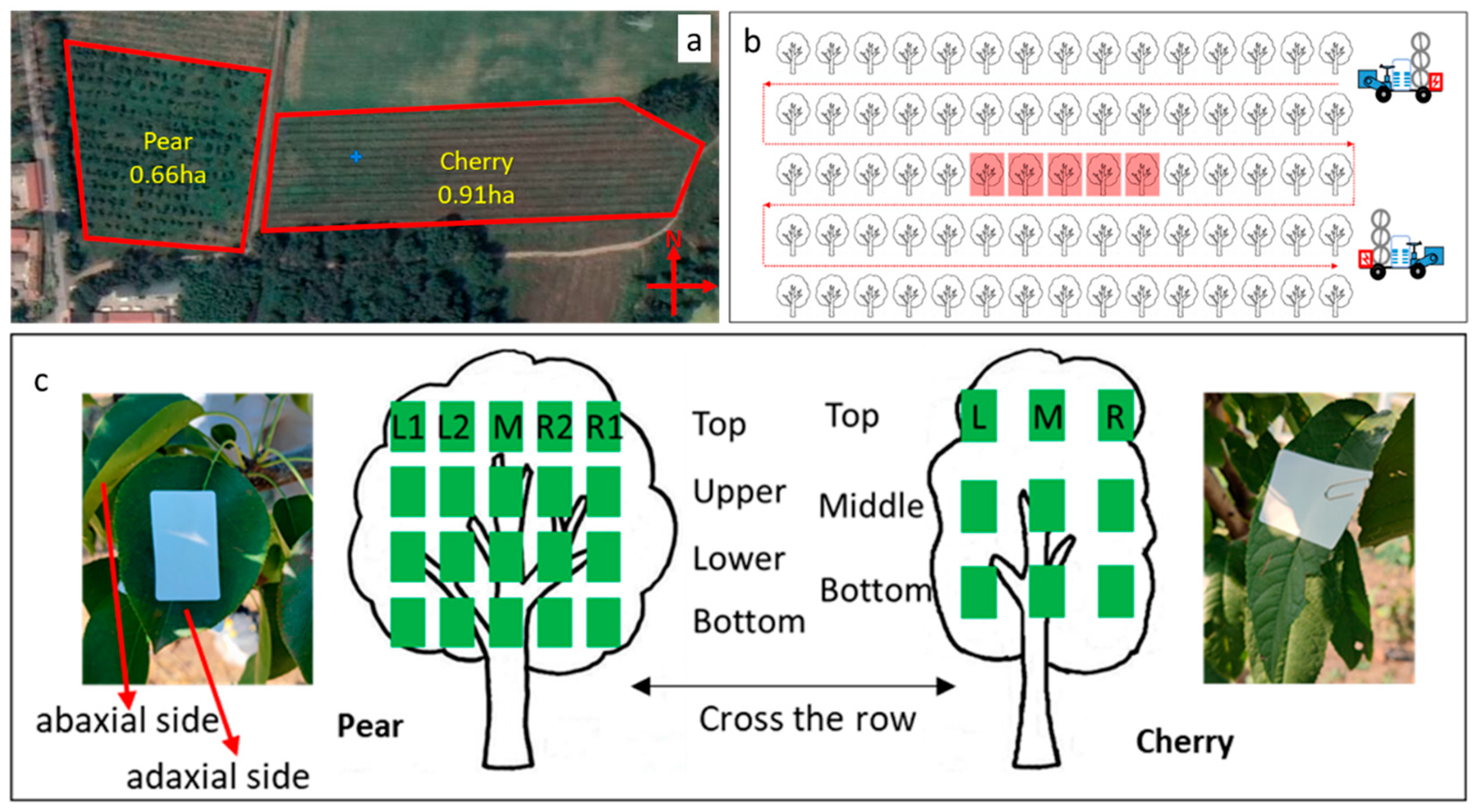 Agronomy 12 00944 g002 550