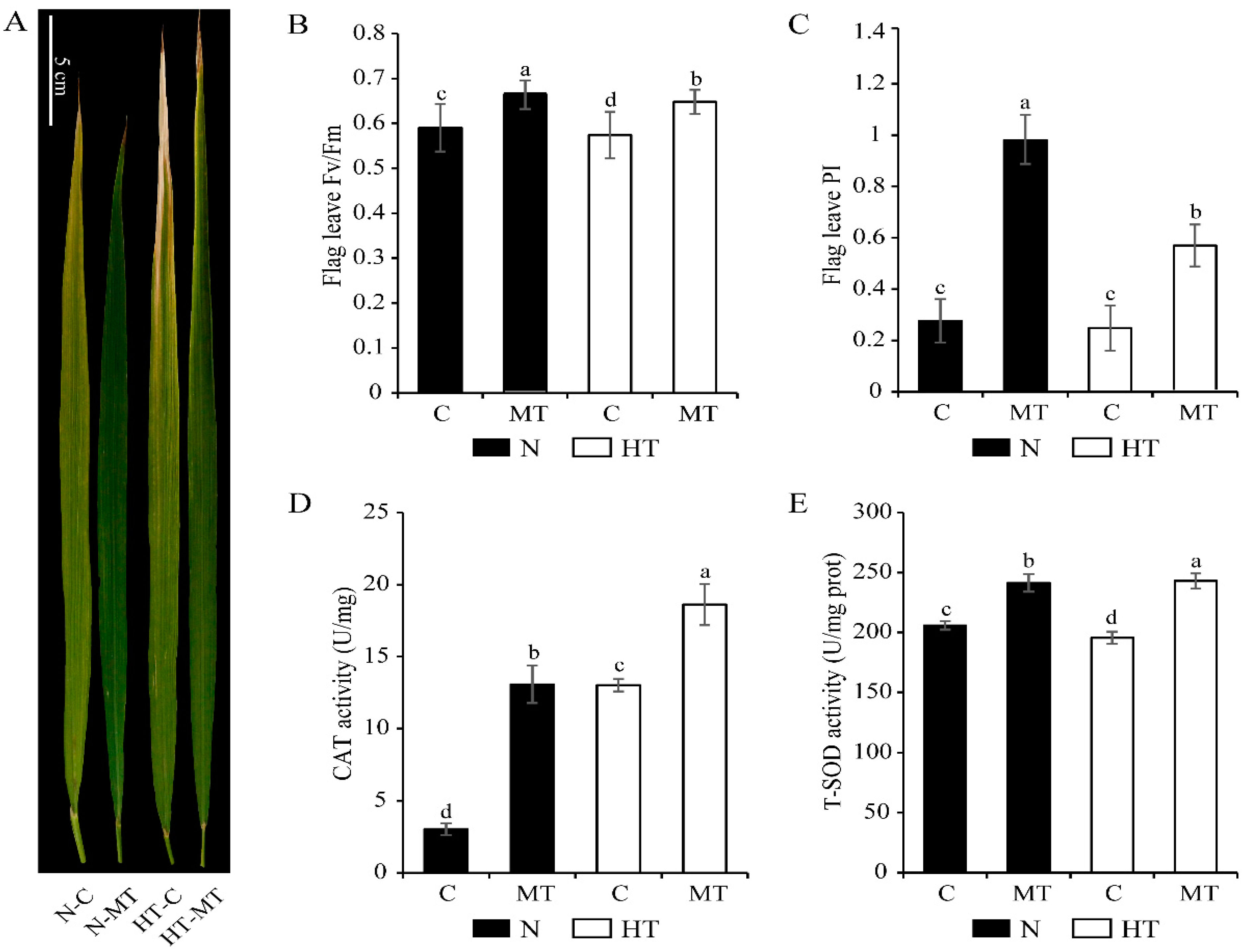 Agronomy 12 00949 g001 550