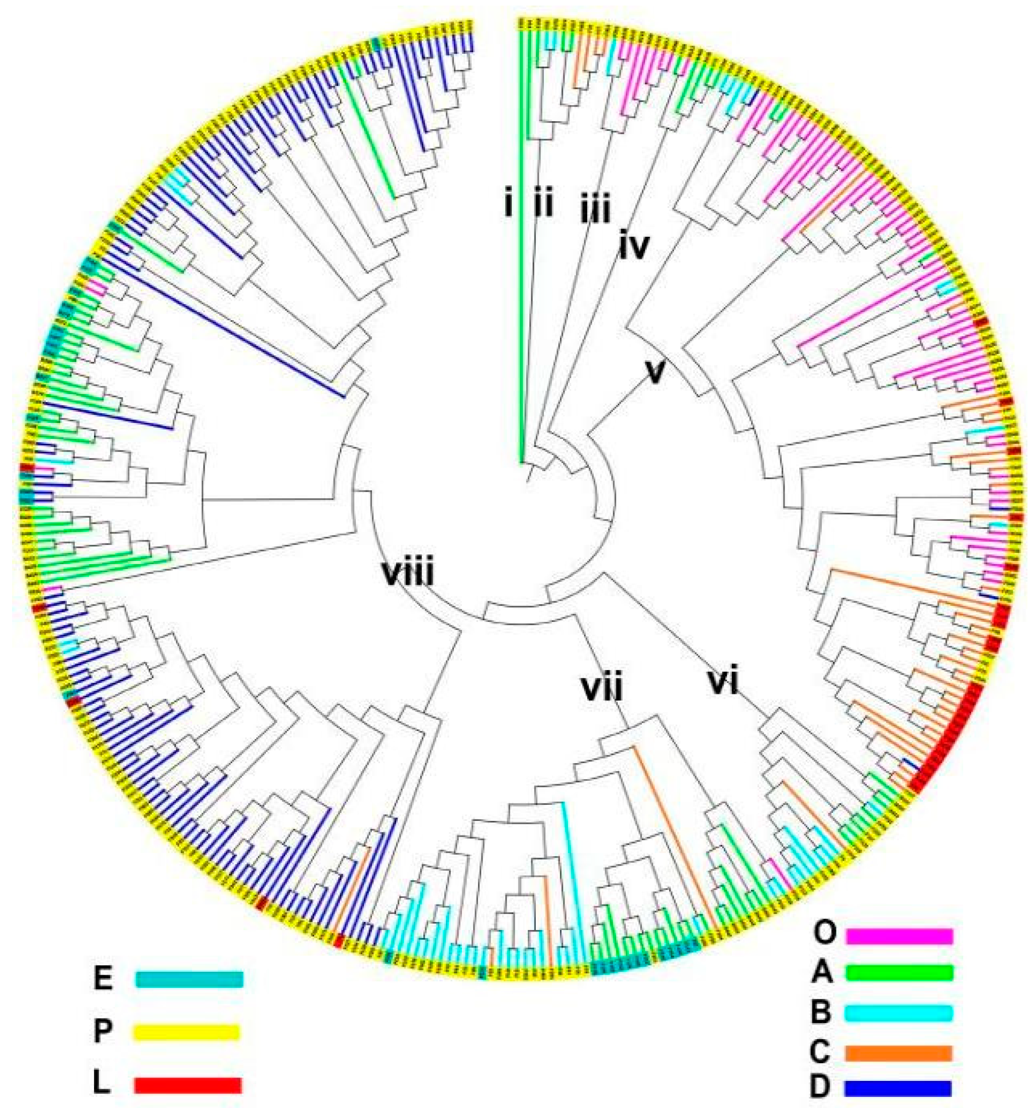 Agronomy 12 00962 g002 Agronomy 12 00962 g002