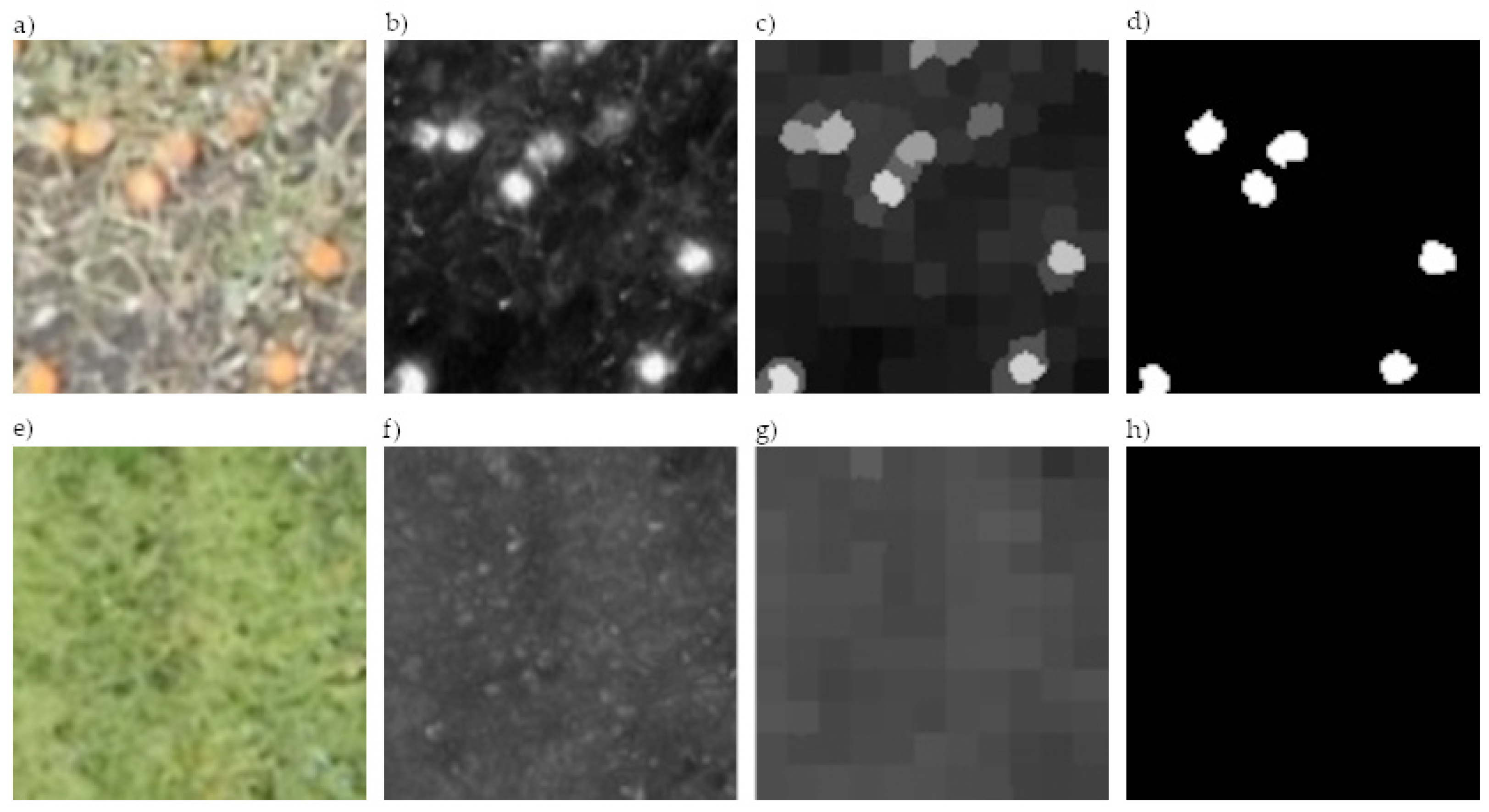 Agronomy 12 00964 g003