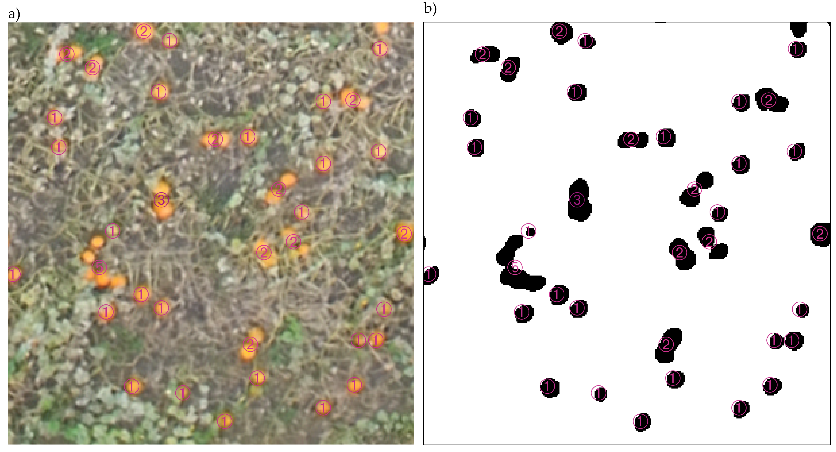 Agronomy 12 00964 g004