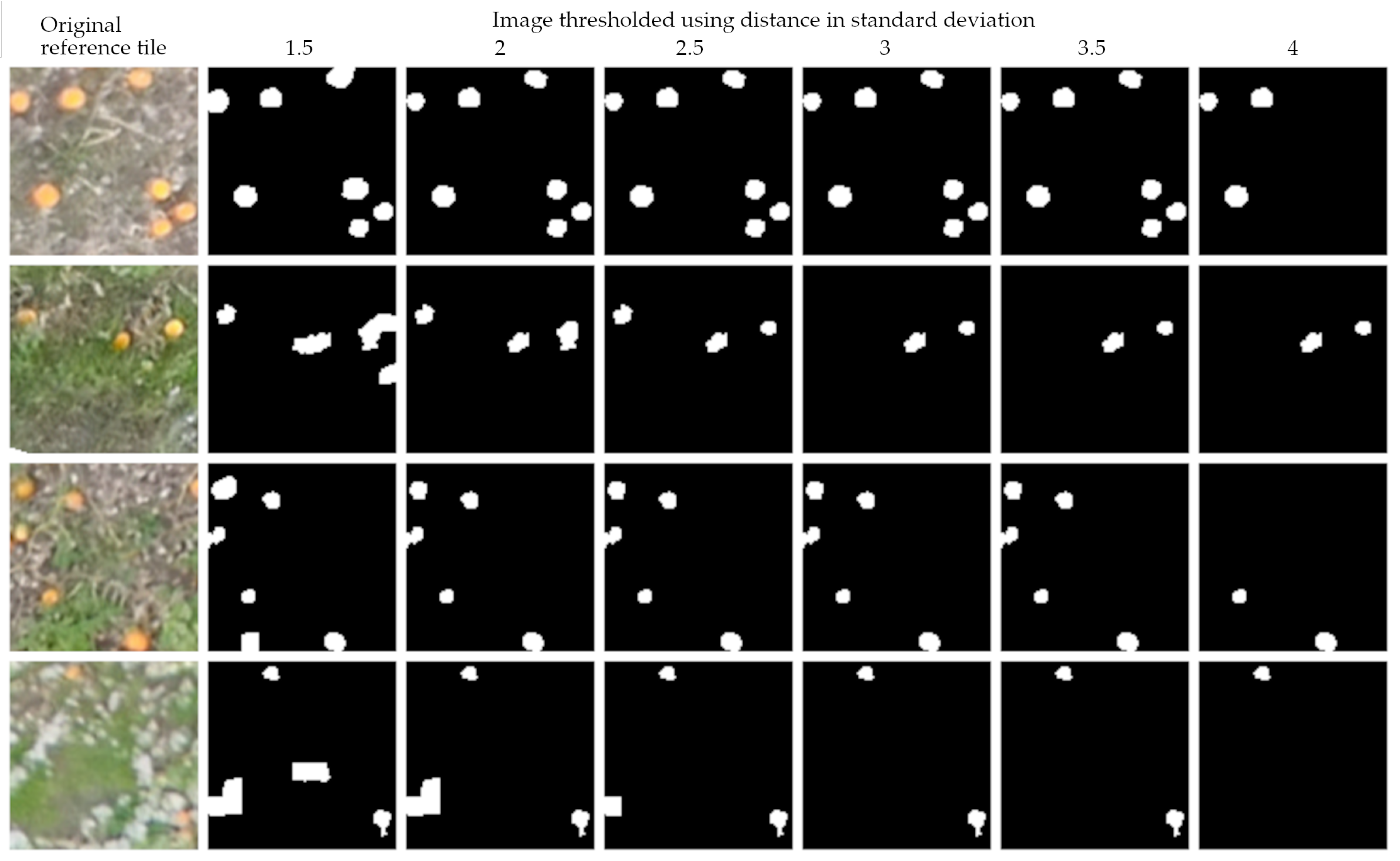 Agronomy 12 00964 g007