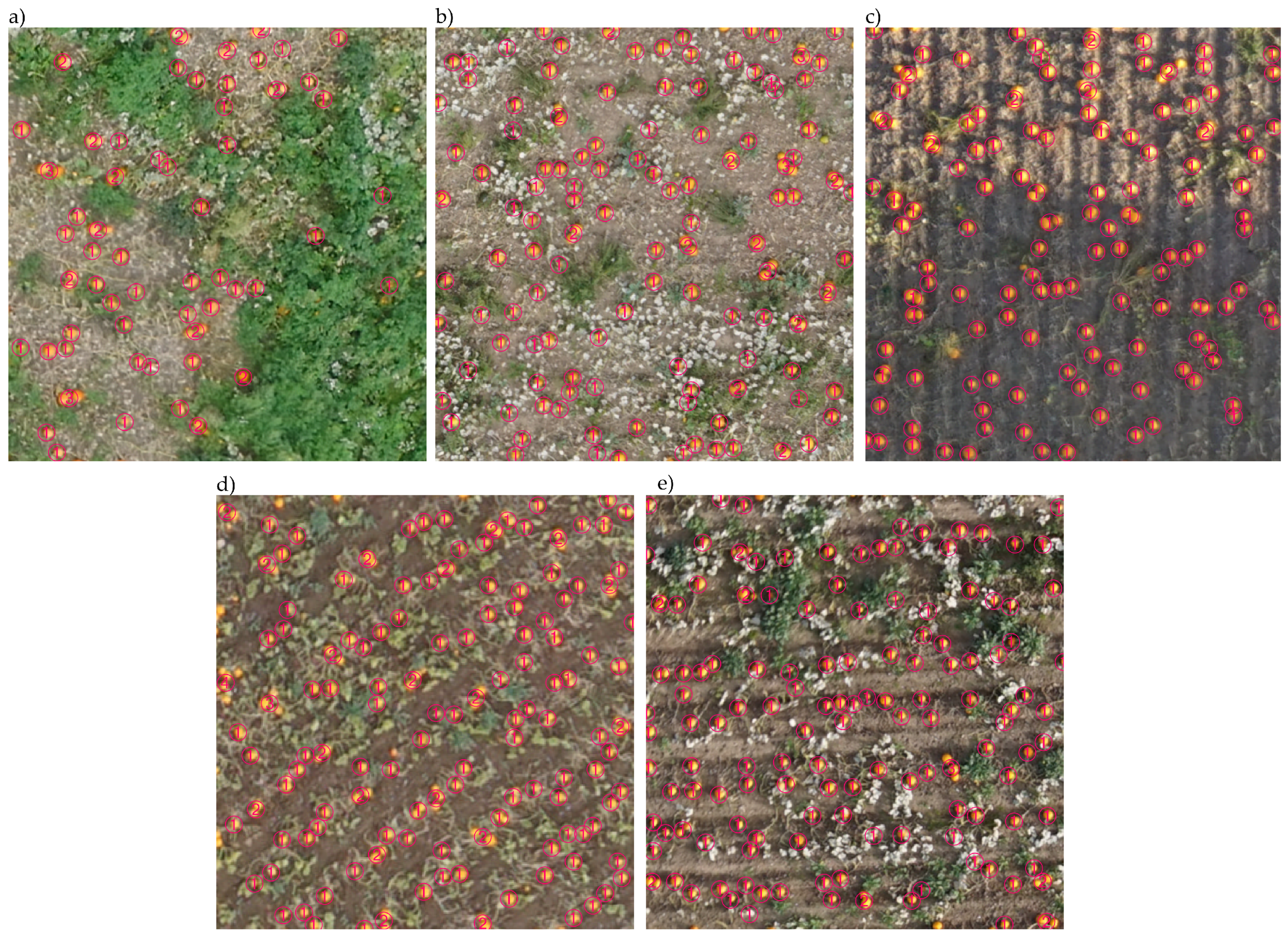 Agronomy 12 00964 g011