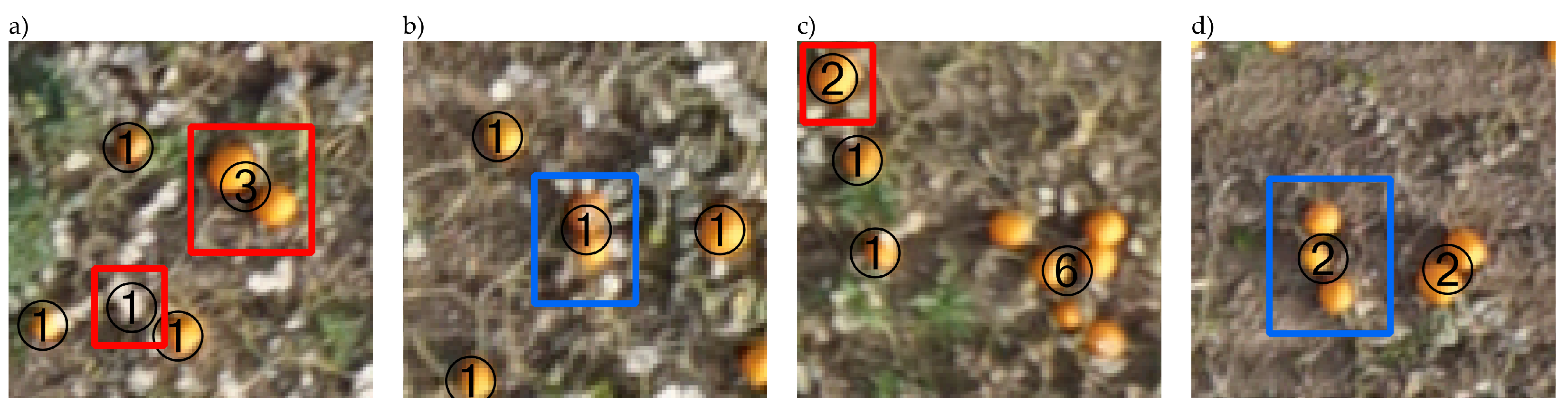 Agronomy 12 00964 g013