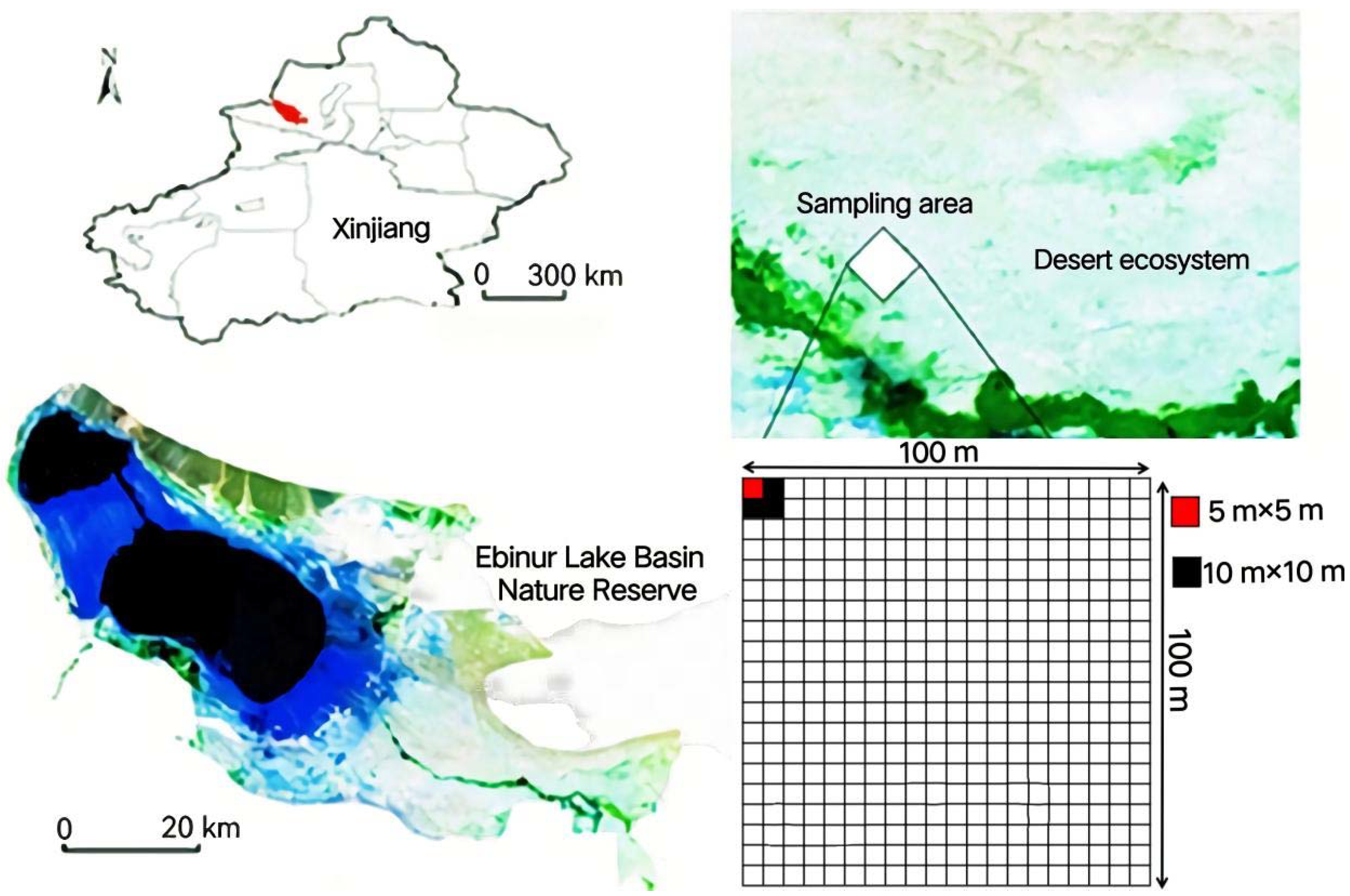 Agronomy 12 00966 g001 550