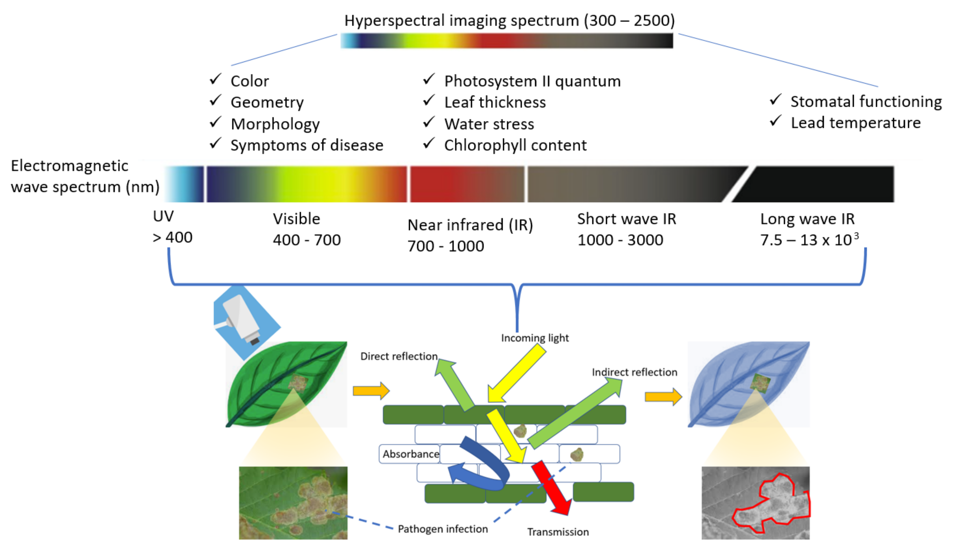 Agronomy 12 00967 g004
