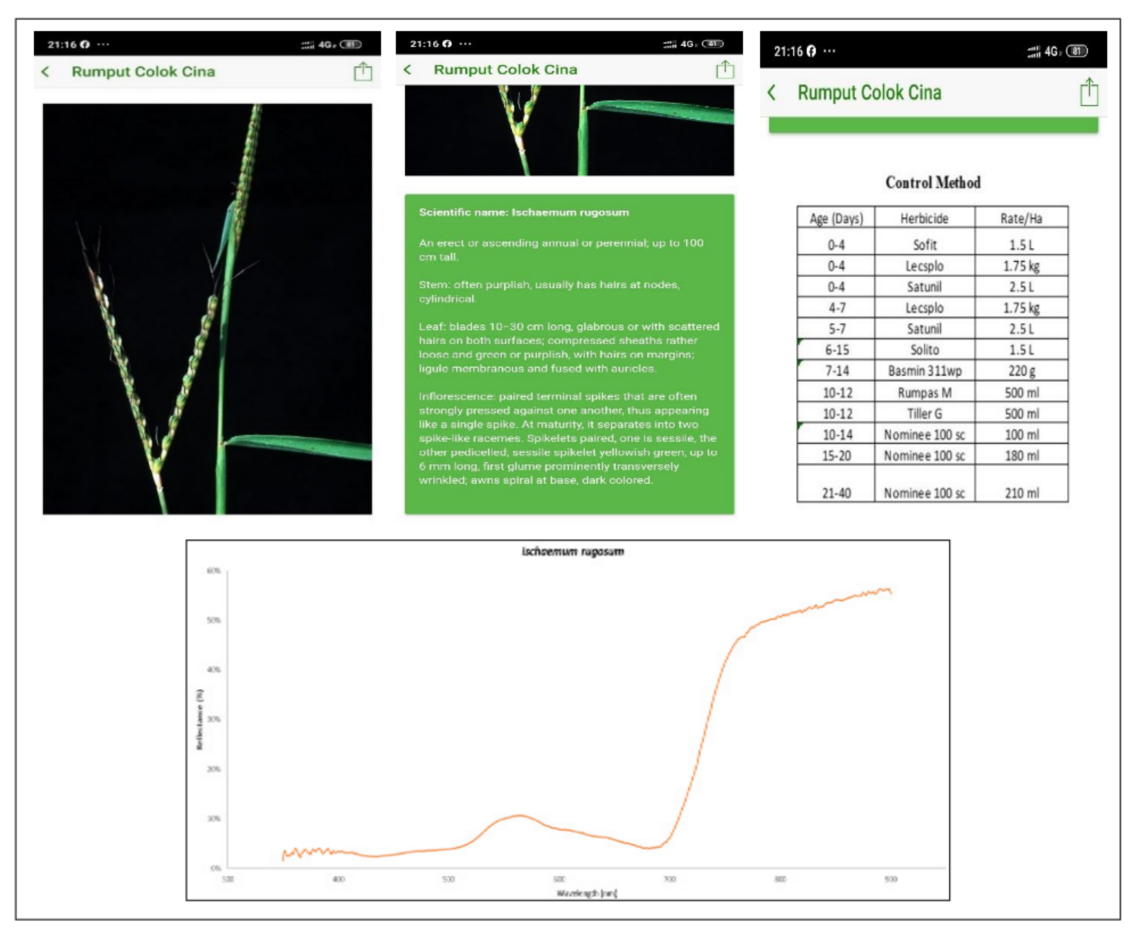 Agronomy 12 00967 g006