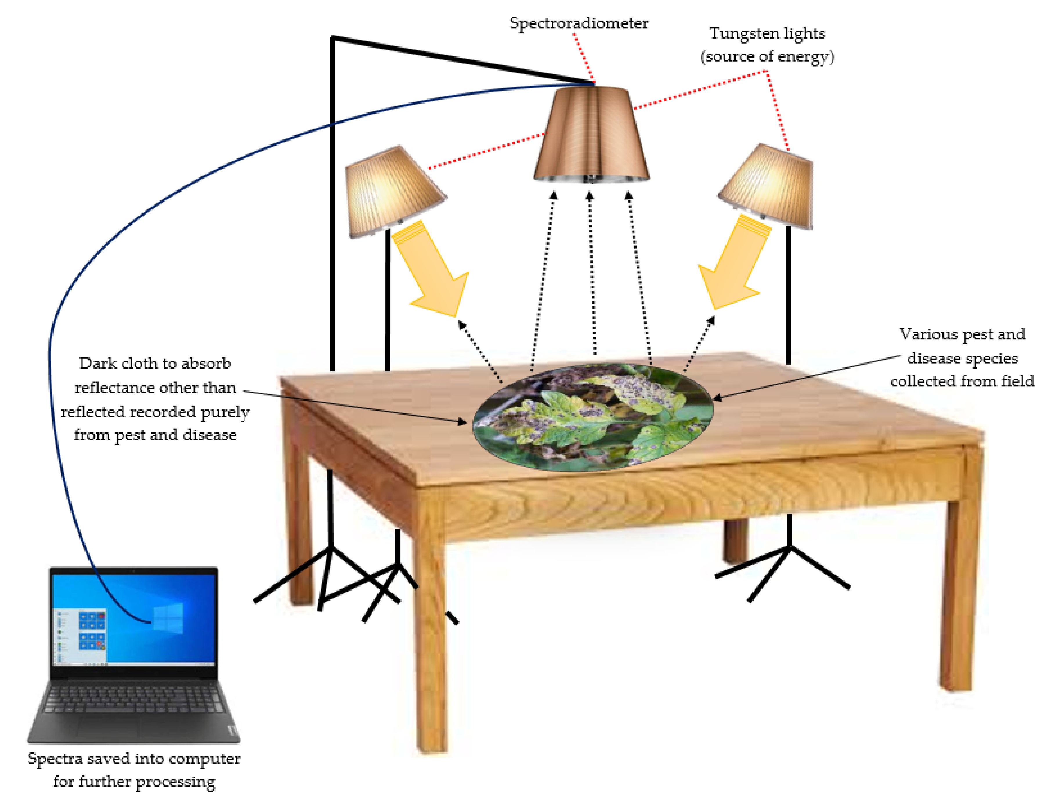 Agronomy 12 00967 g007