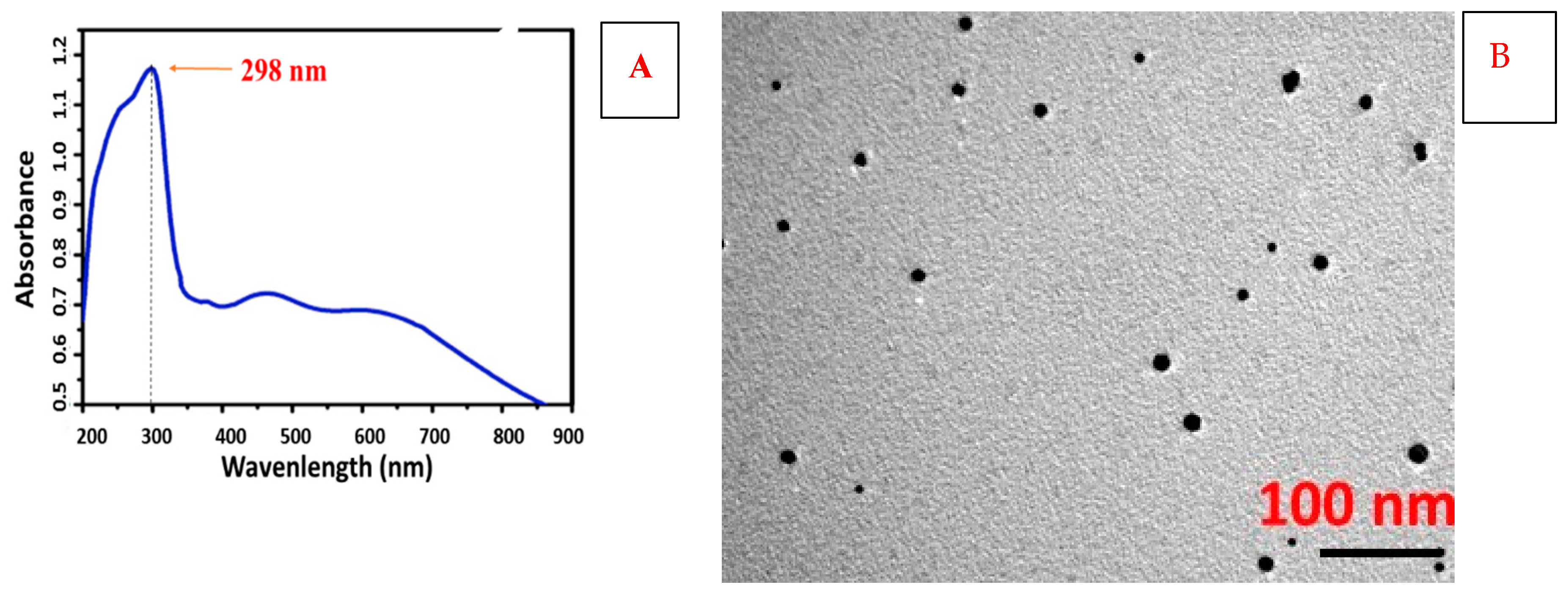Agronomy 12 00982 g001
