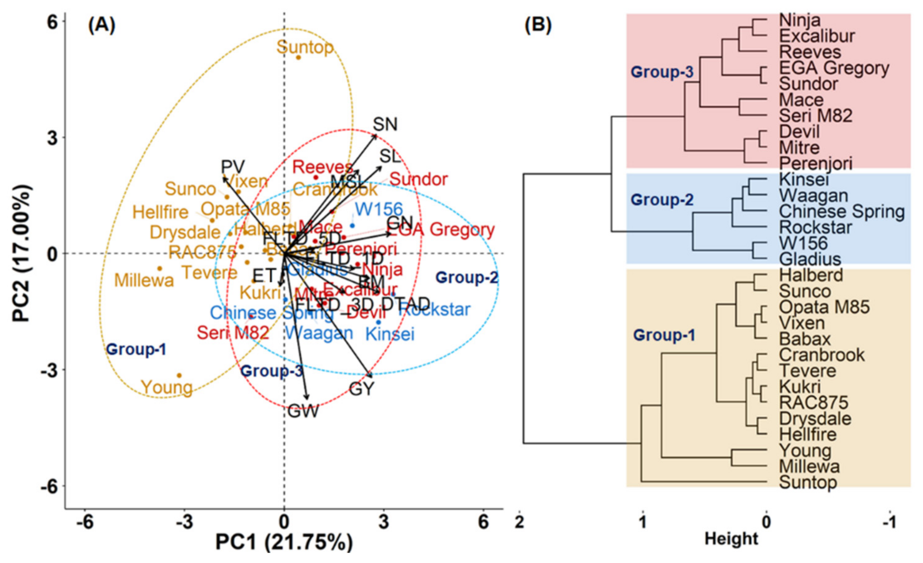 Agronomy 12 00987 g004