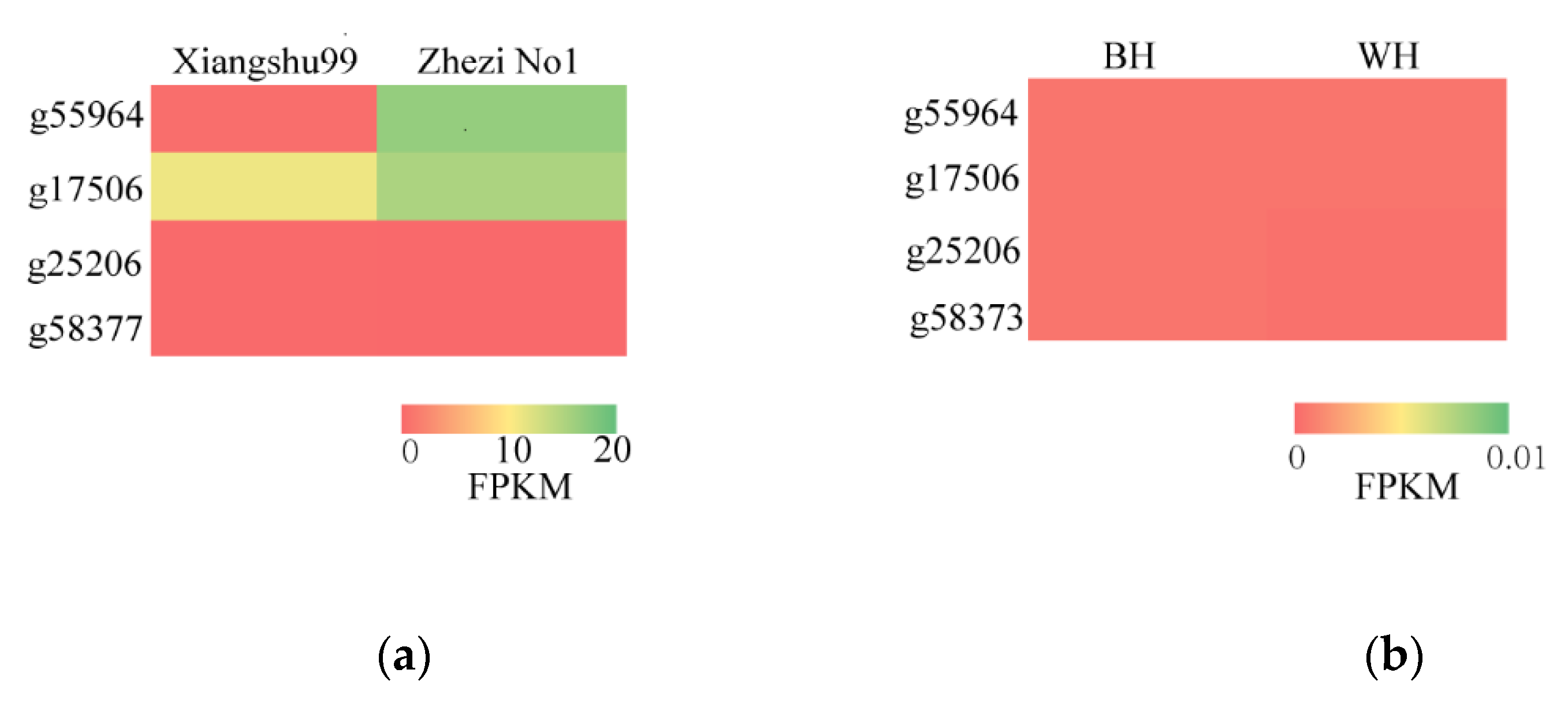 Agronomy 12 00991 g008 Agronomy 12 00991 g008