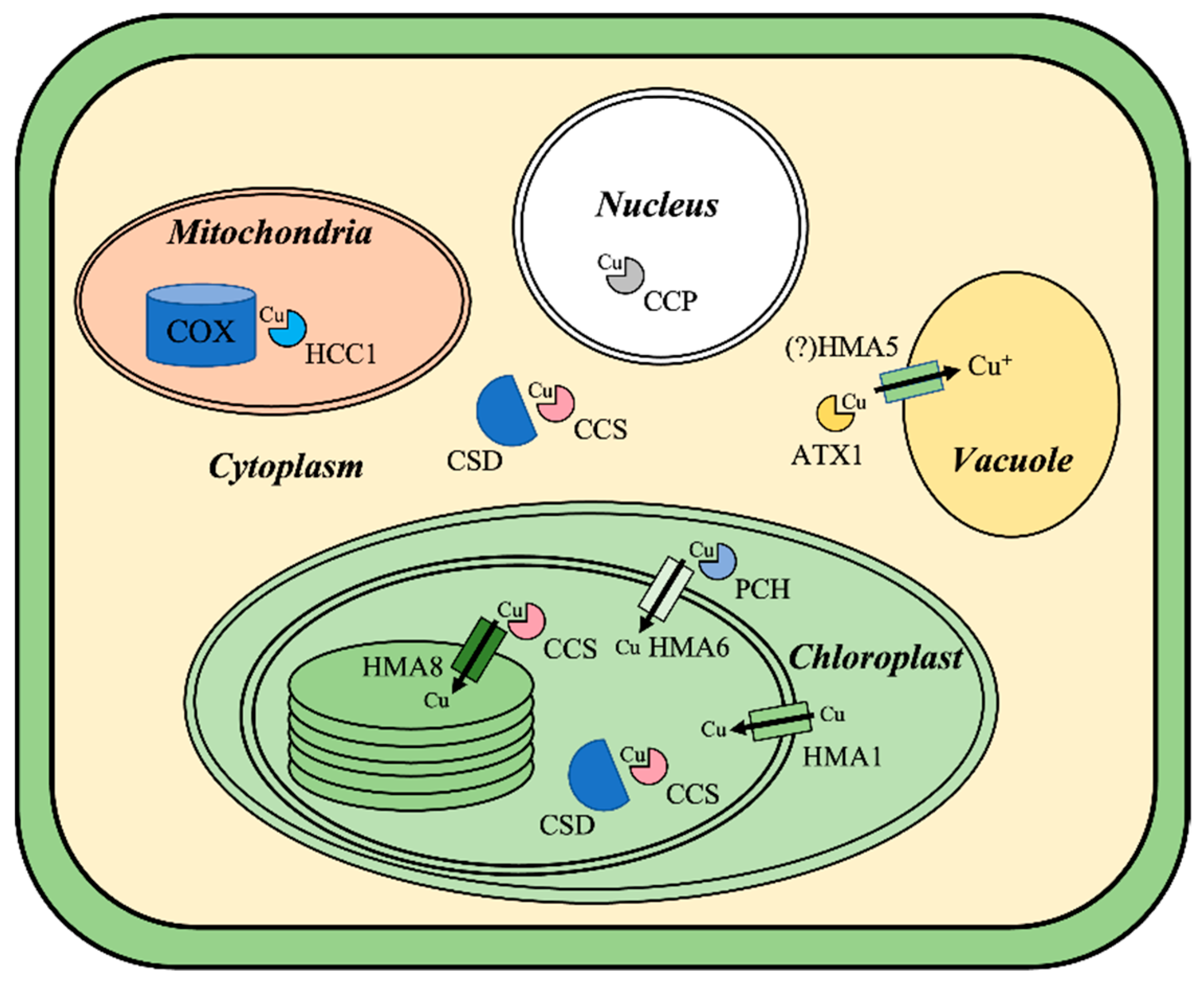 Agronomy 12 00994 g003 Agronomy 12 00994 g003