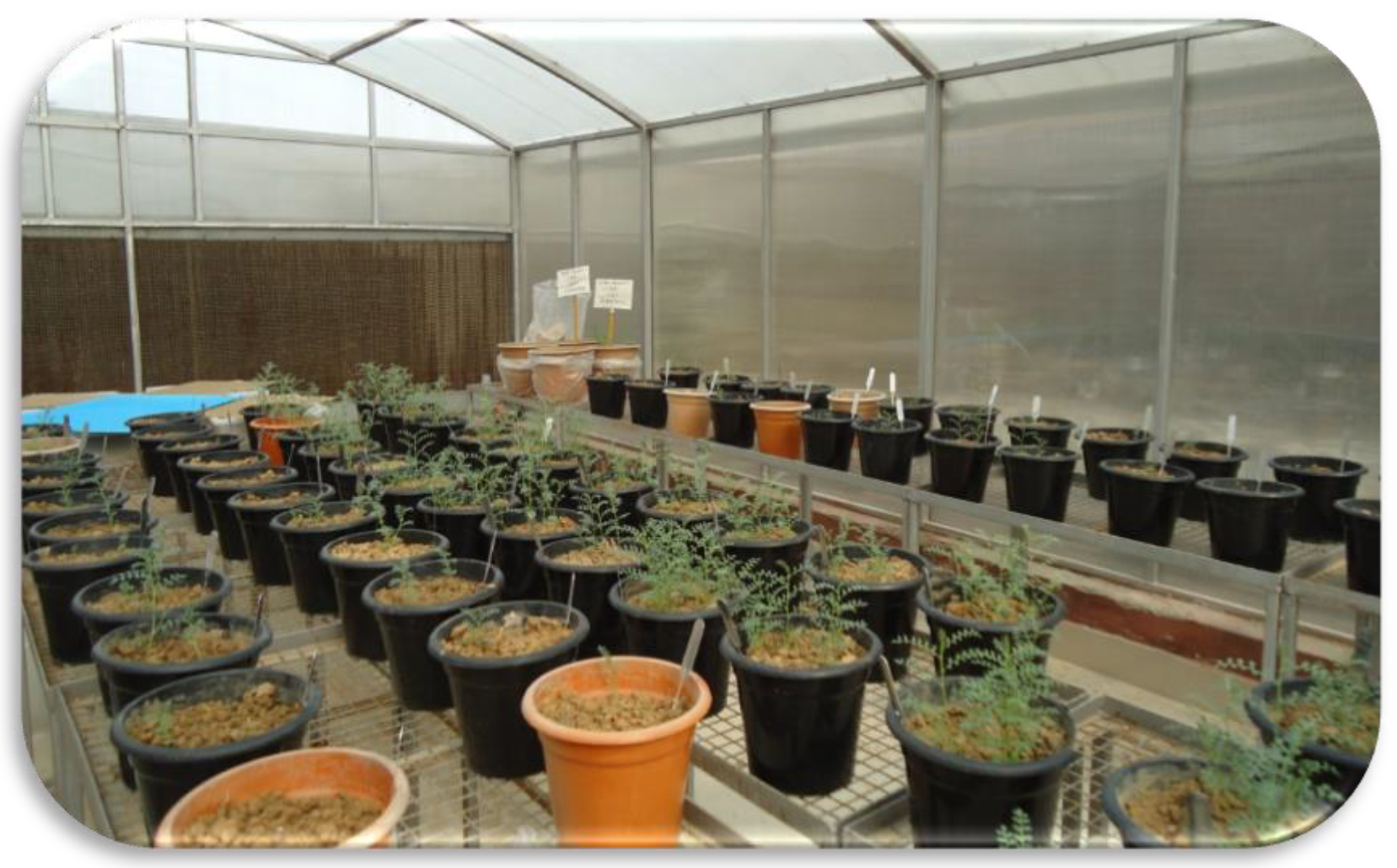 Agronomy 12 00995 g001