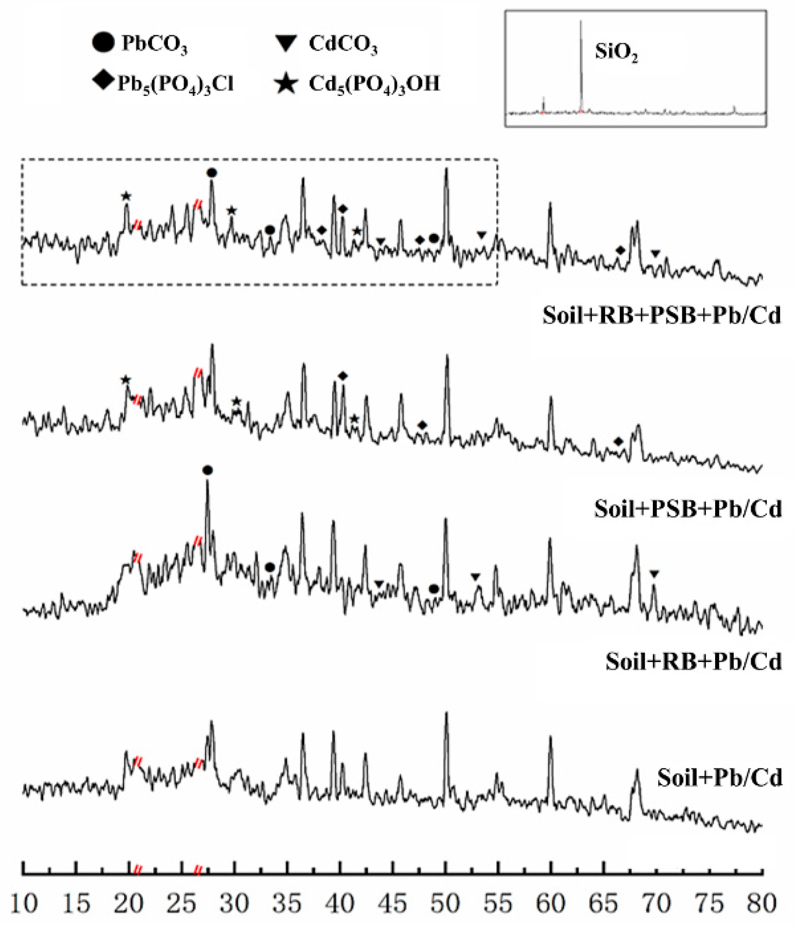 Agronomy 12 01003 g004