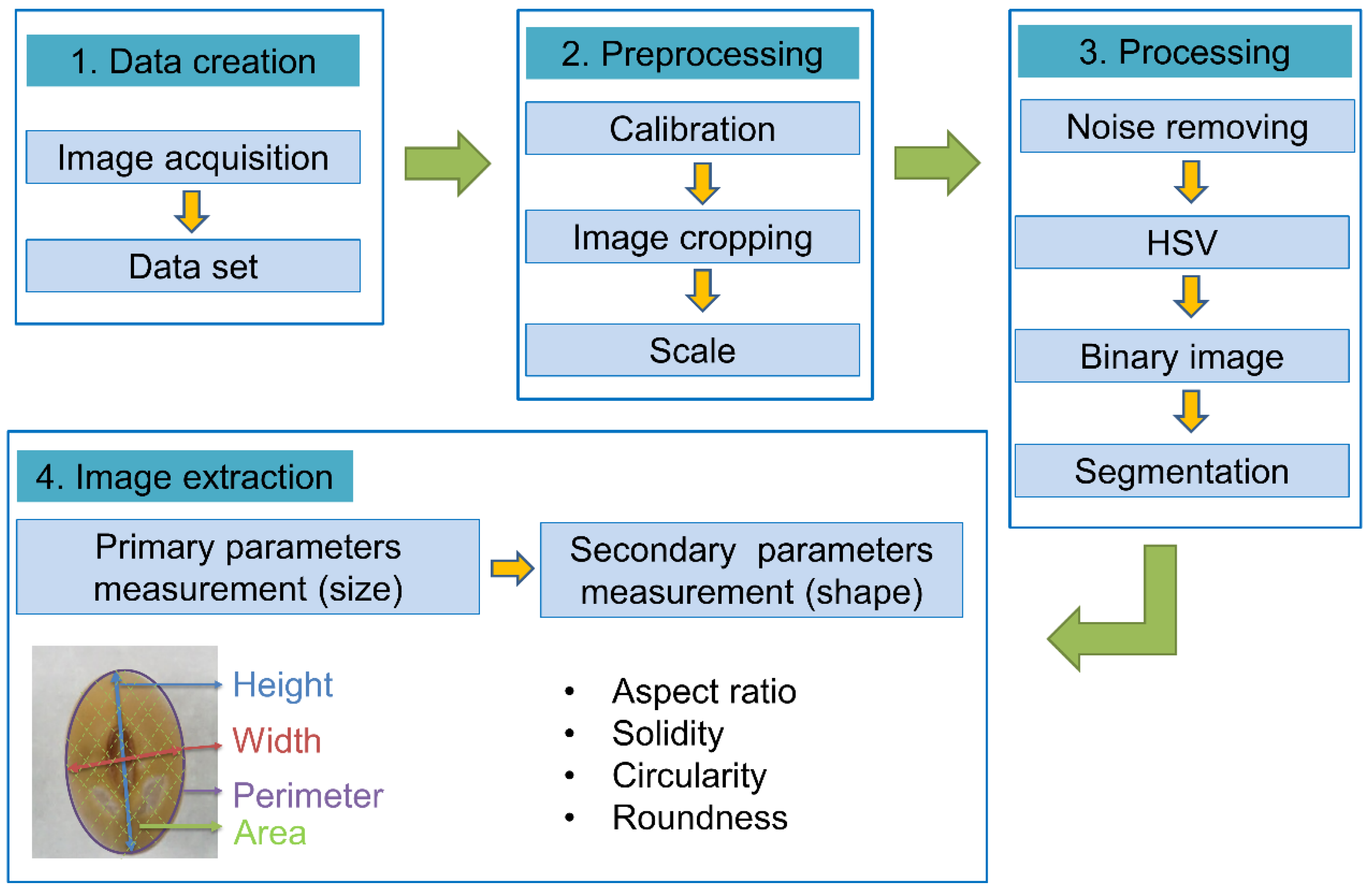 Agronomy Free FullText Diversity Characterization of Soybean