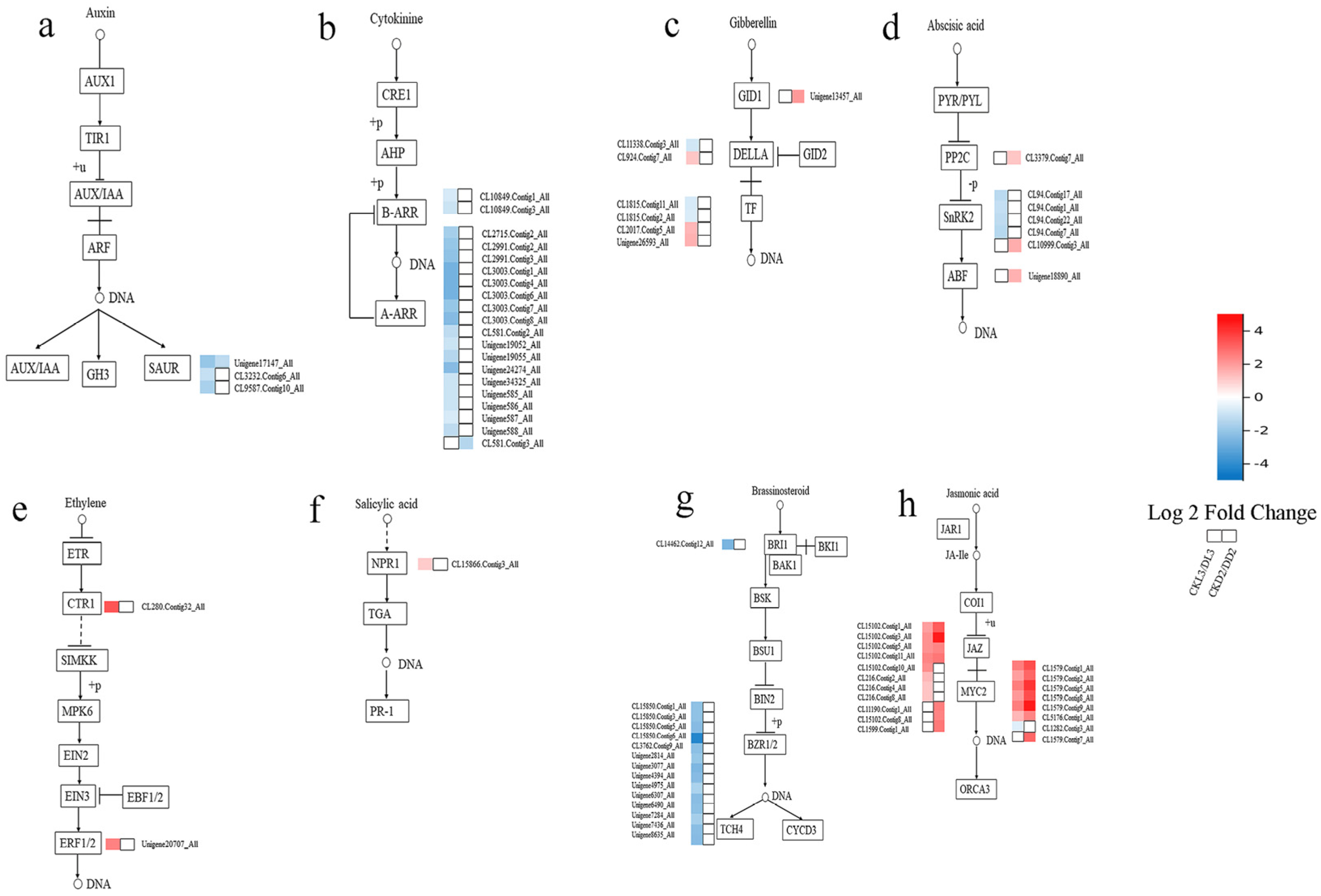 Agronomy 12 01005 g005