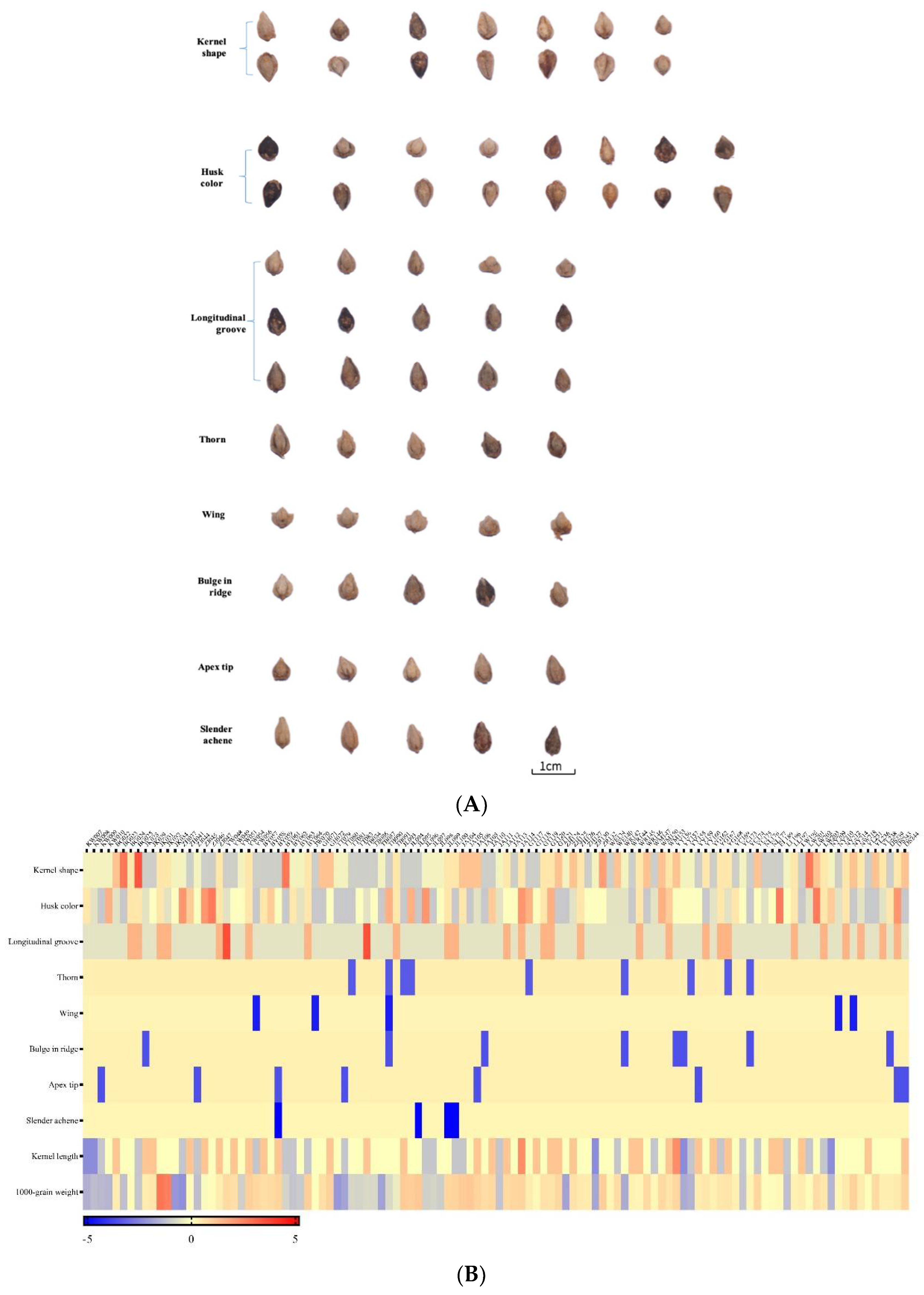 Agronomy 12 01022 g001a Agronomy 12 01022 g001a