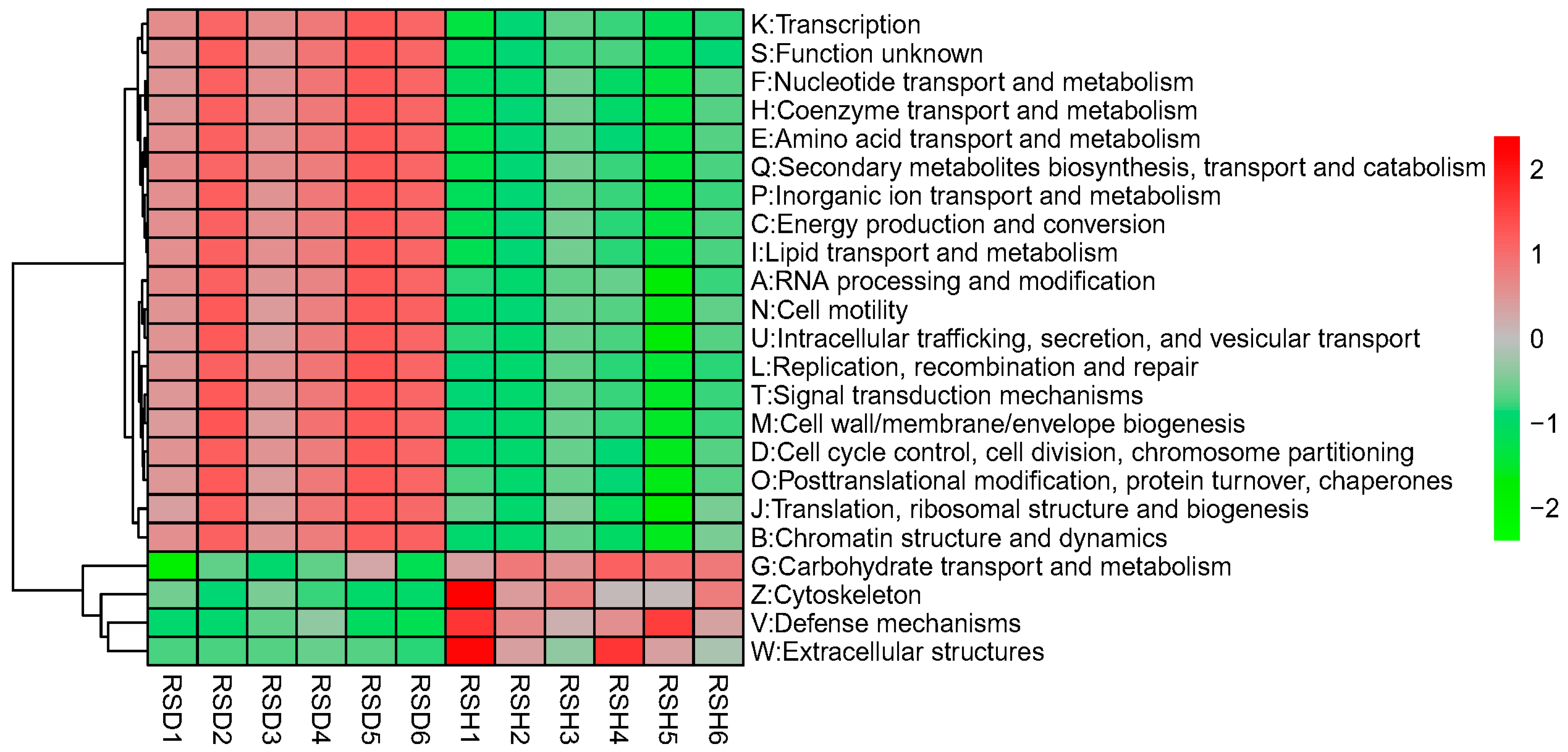 Agronomy 12 01024 g004